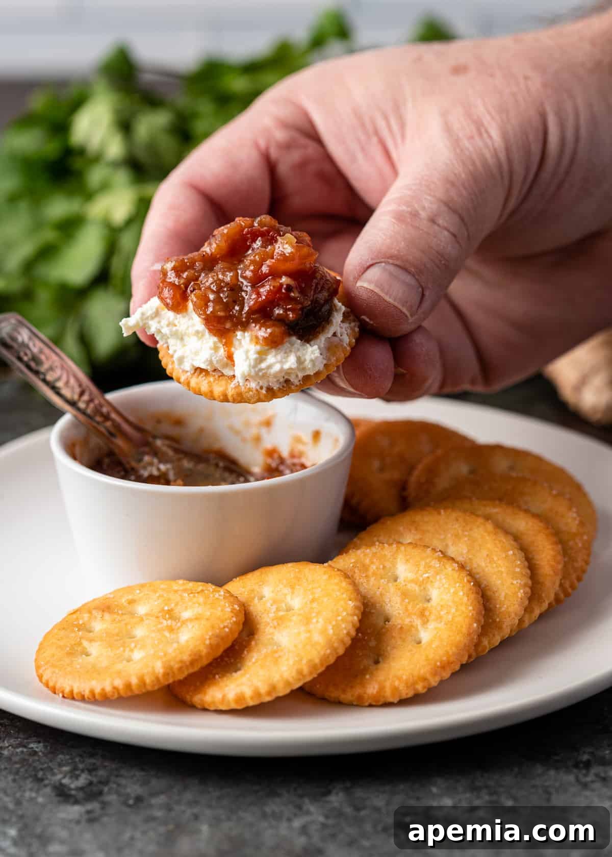 Sweet Heat Tomato Chutney 11 A hand holding a cracker topped with homemade tomato chutney and a dollop of cream cheese, ready to be enjoyed.