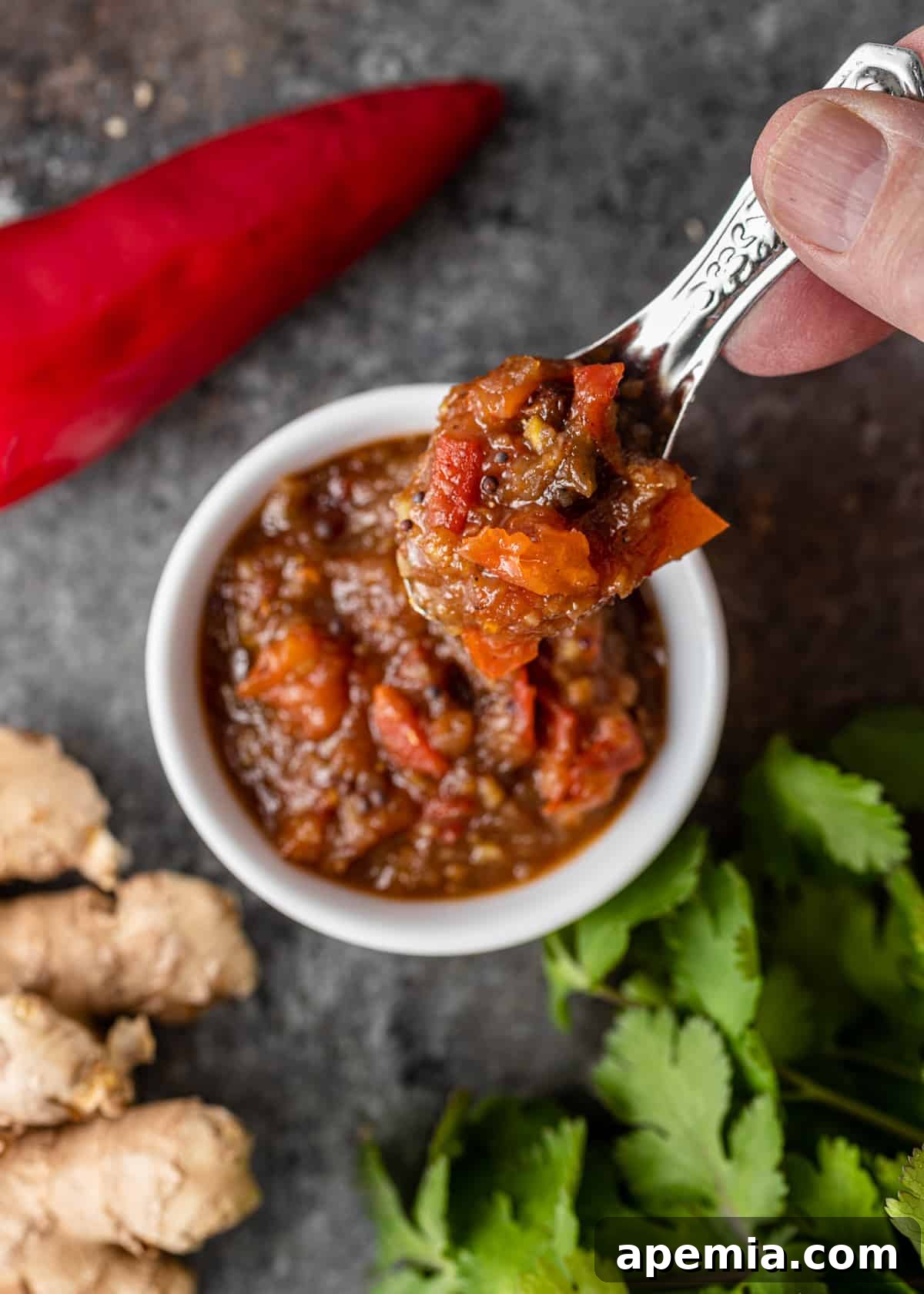 Sweet Heat Tomato Chutney 10 Overhead shot of a hand holding a spoon with a scoop of sweet and spicy tomato chutney, showcasing its chunky texture.