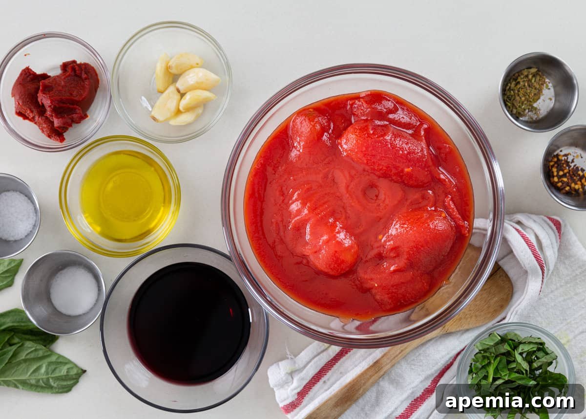 overhead: ingredients needed for marinara