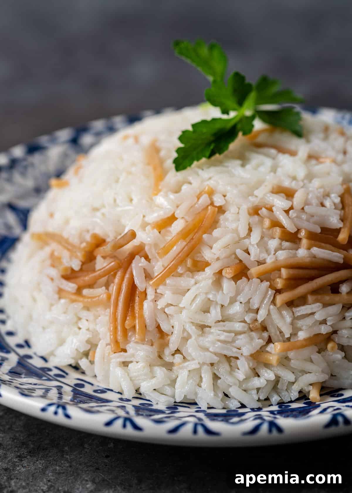 Close-up of a blue and white plate filled with perfectly cooked Egyptian rice and vermicelli, ready to serve.
