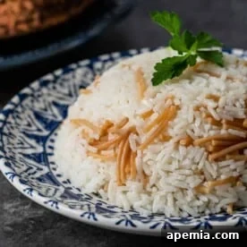 A dish of Egyptian Rice with Vermicelli
