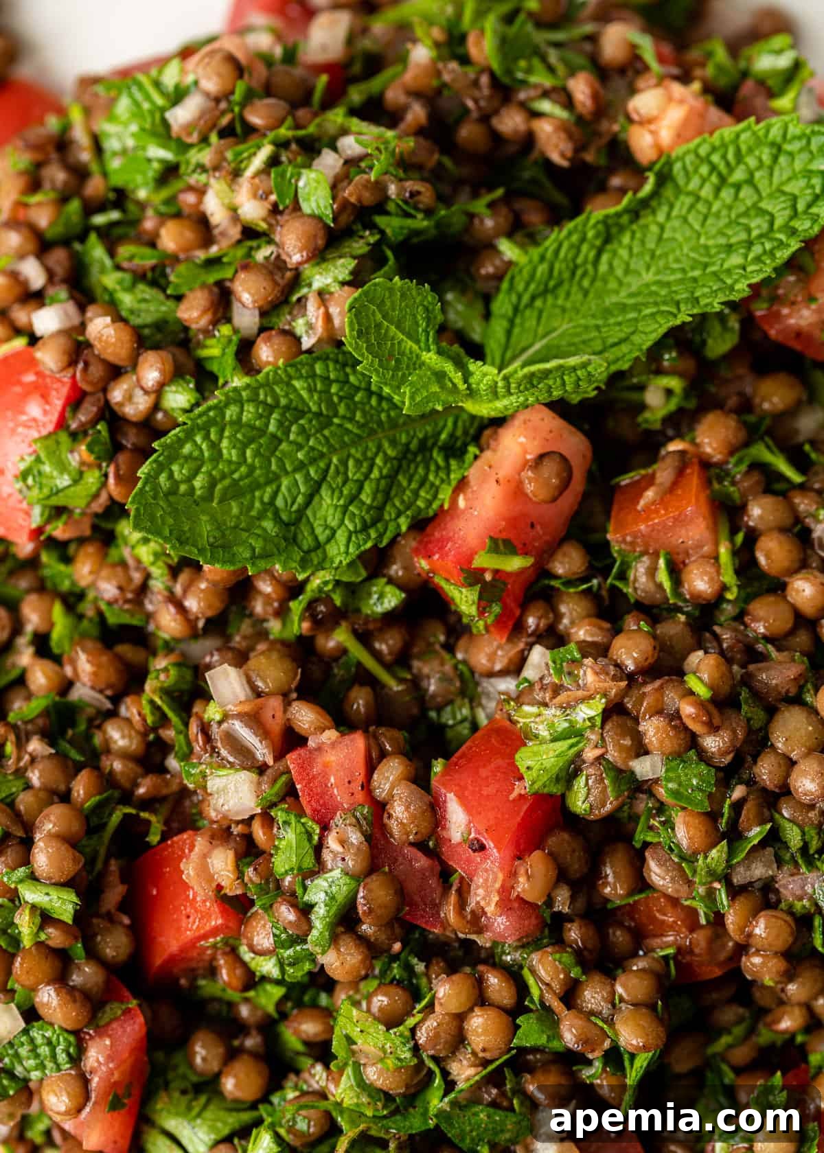 extreme closeup: lentil tabbouleh with tomatoes and fresh mint and parsley