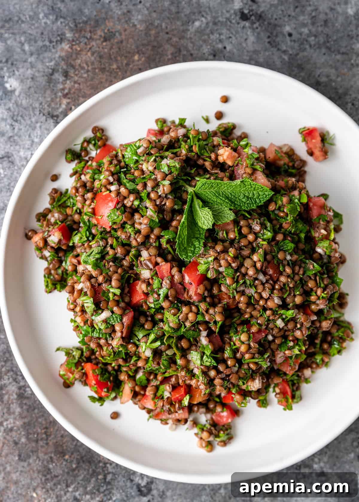 overhead: lentil tabbouleh on a white plate with fresh mint on top
