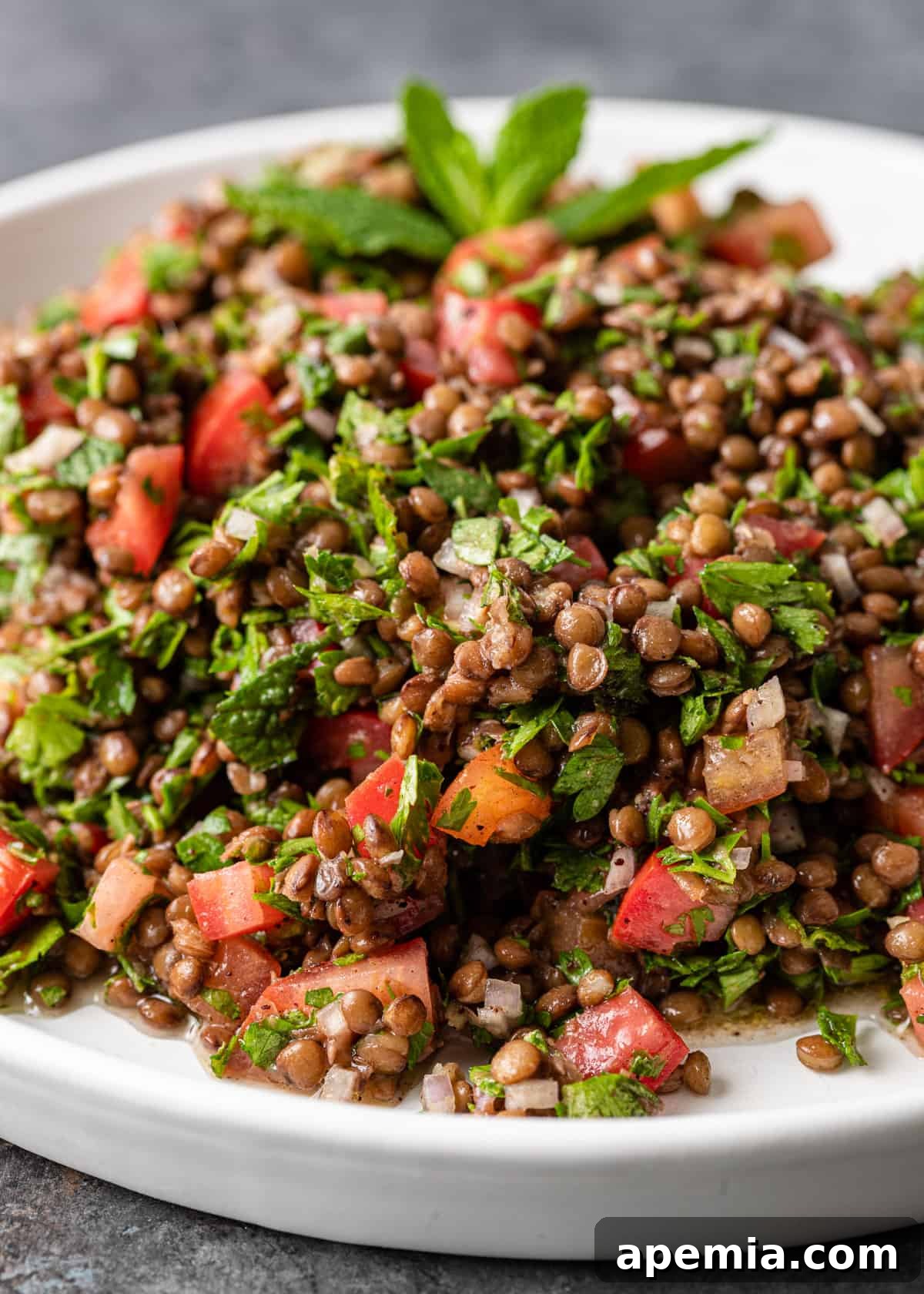 closeup: lentil tabouli salad with tomatoes and fresh herbs