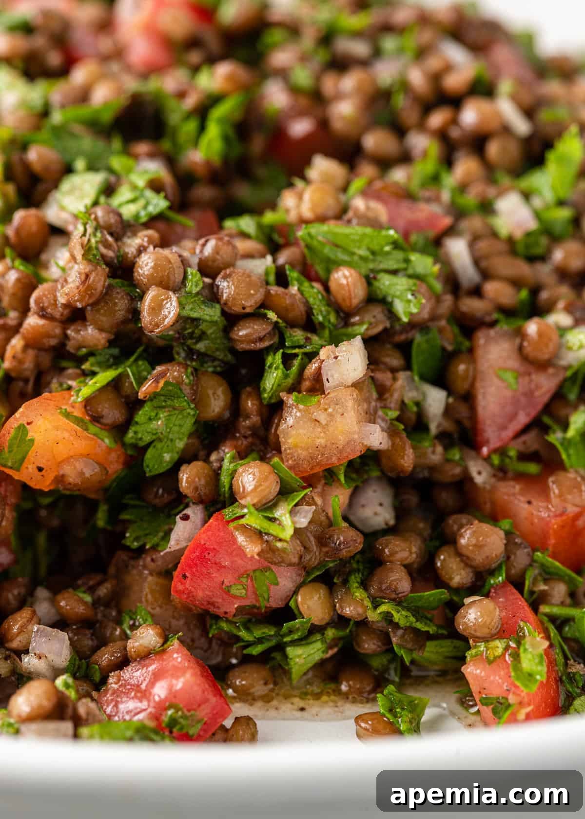 extreme closeup: lentil tabbouleh with tomatoes and herbs visible