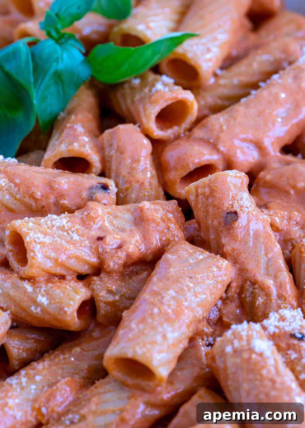 Overhead shot of a bowl of pasta with creamy vodka sauce, adorned with basil and grated cheese, ready to be served.