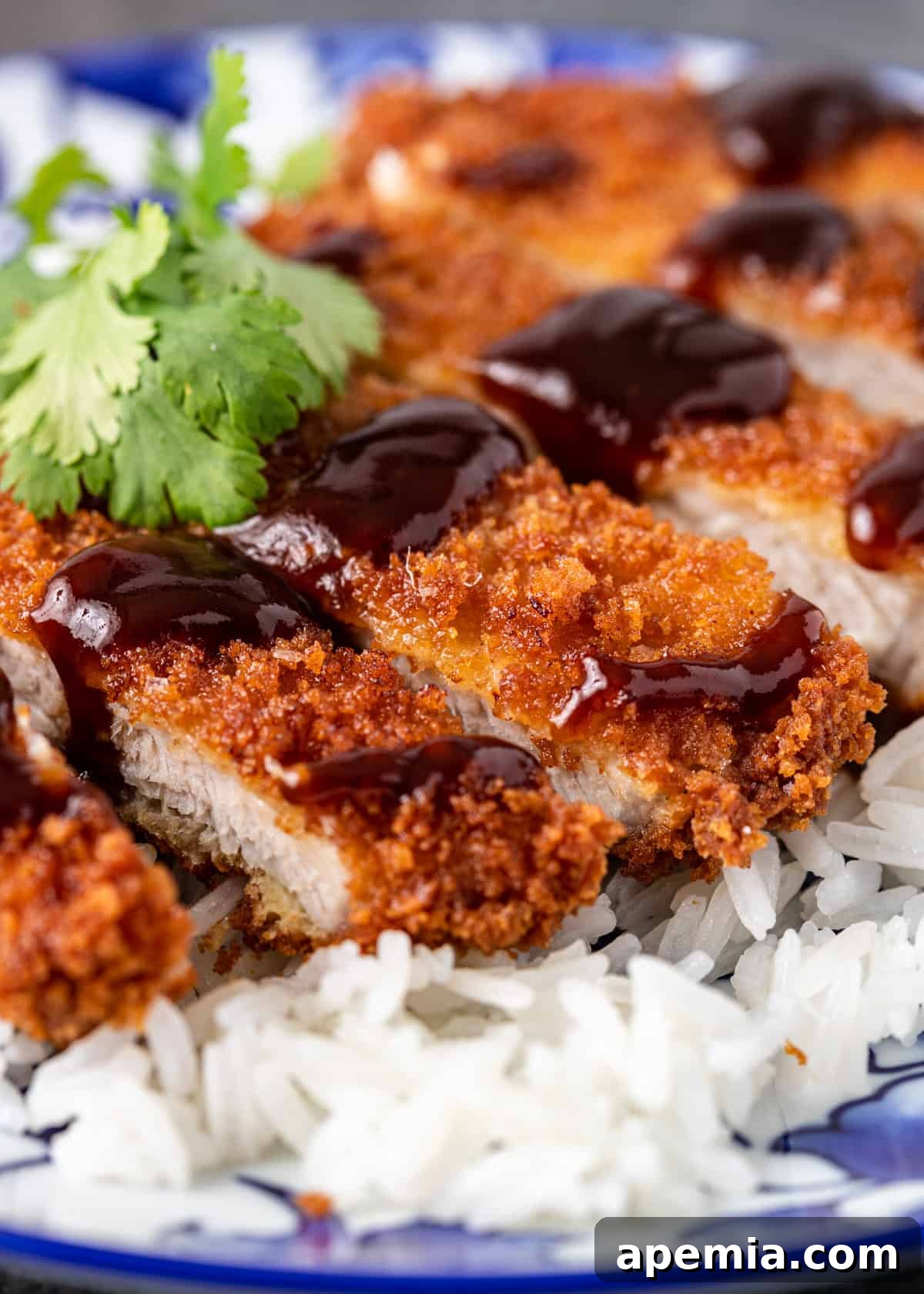 Large titled image displaying the final dish: Pork Tonkatsu (Katsu), showcasing perfectly fried pork slices with sauce.