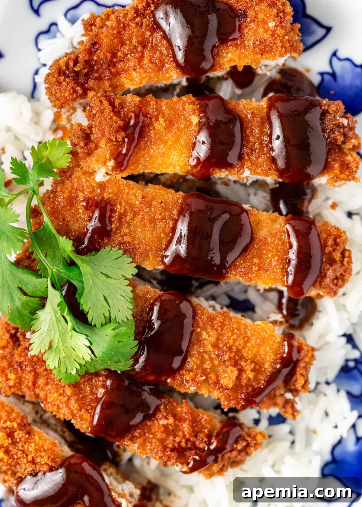 Overhead close-up of thinly sliced pork tonkatsu, generously coated with katsu sauce and garnished with fresh parsley, served alongside fluffy white rice.