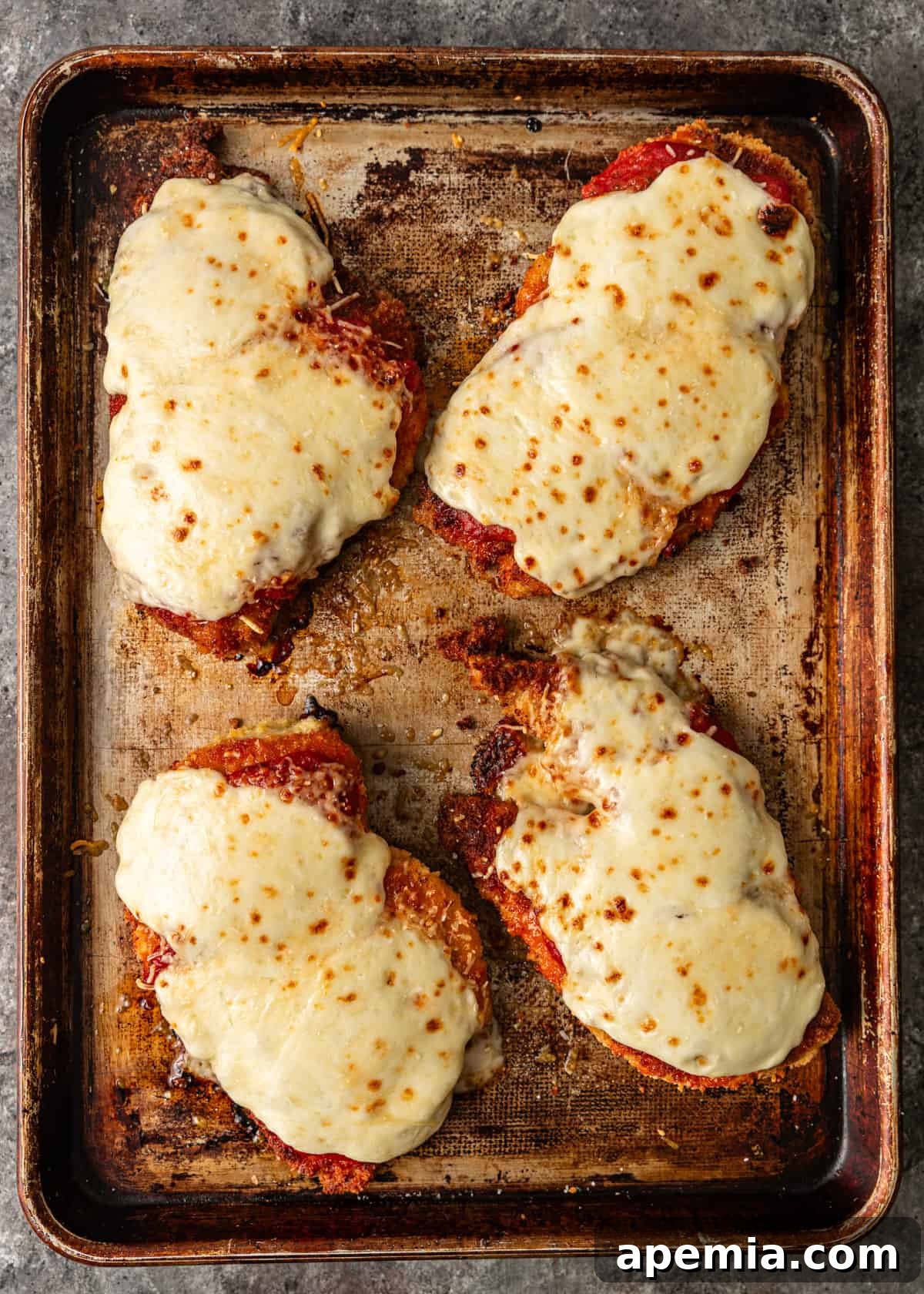 overhead: baked chicken parmesan on a baking sheet