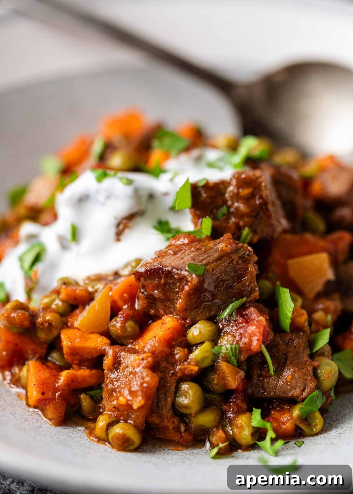 Spiced Beef and Sweet Potato Tagine 3 Close-up of a serving of Moroccan beef tagine on a white plate, garnished with fresh herbs and a drizzle of white sauce or yogurt, highlighting the rich colors and textures of the stew.