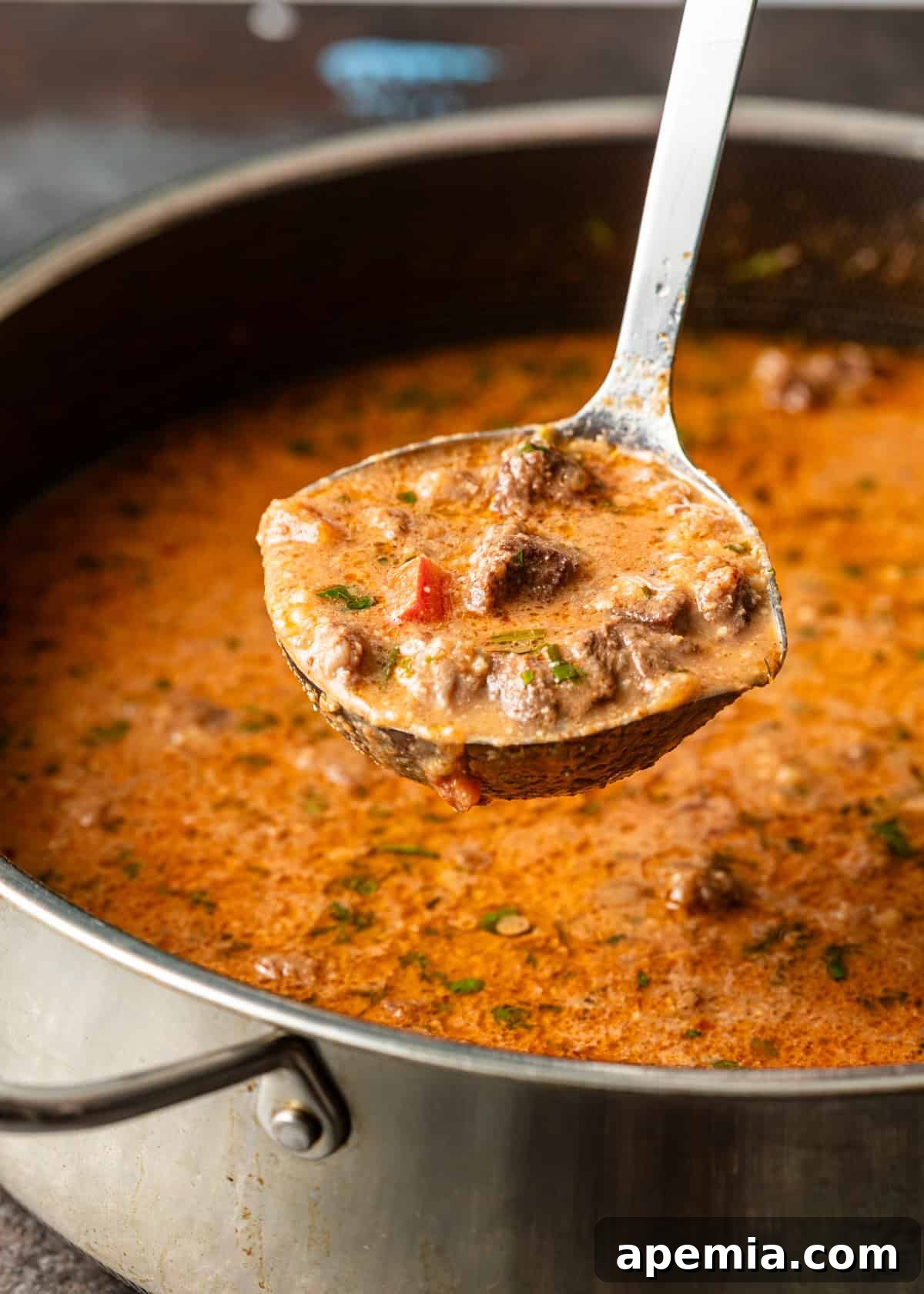 closeup side view: ready to serve Georgian beef soup with full ladle over pot
