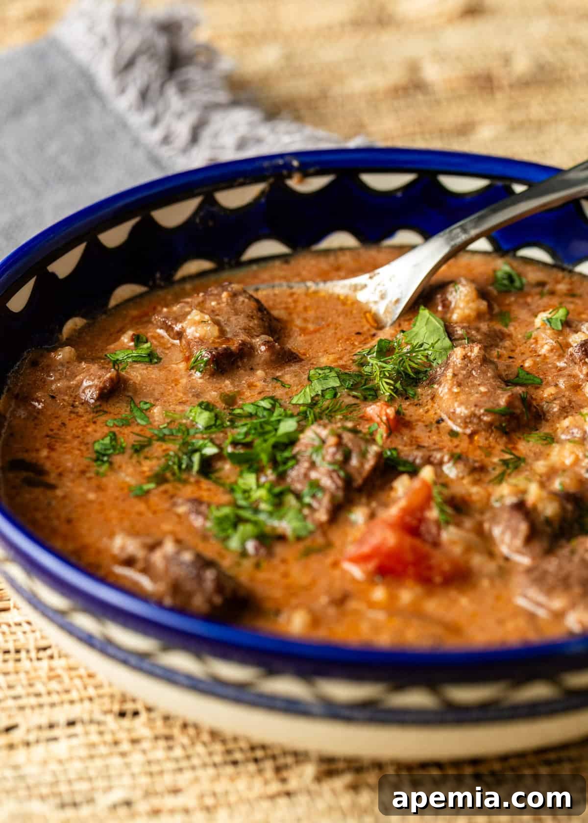 closeup side view: ready to eat Georgian beef soup in bowl with spoon