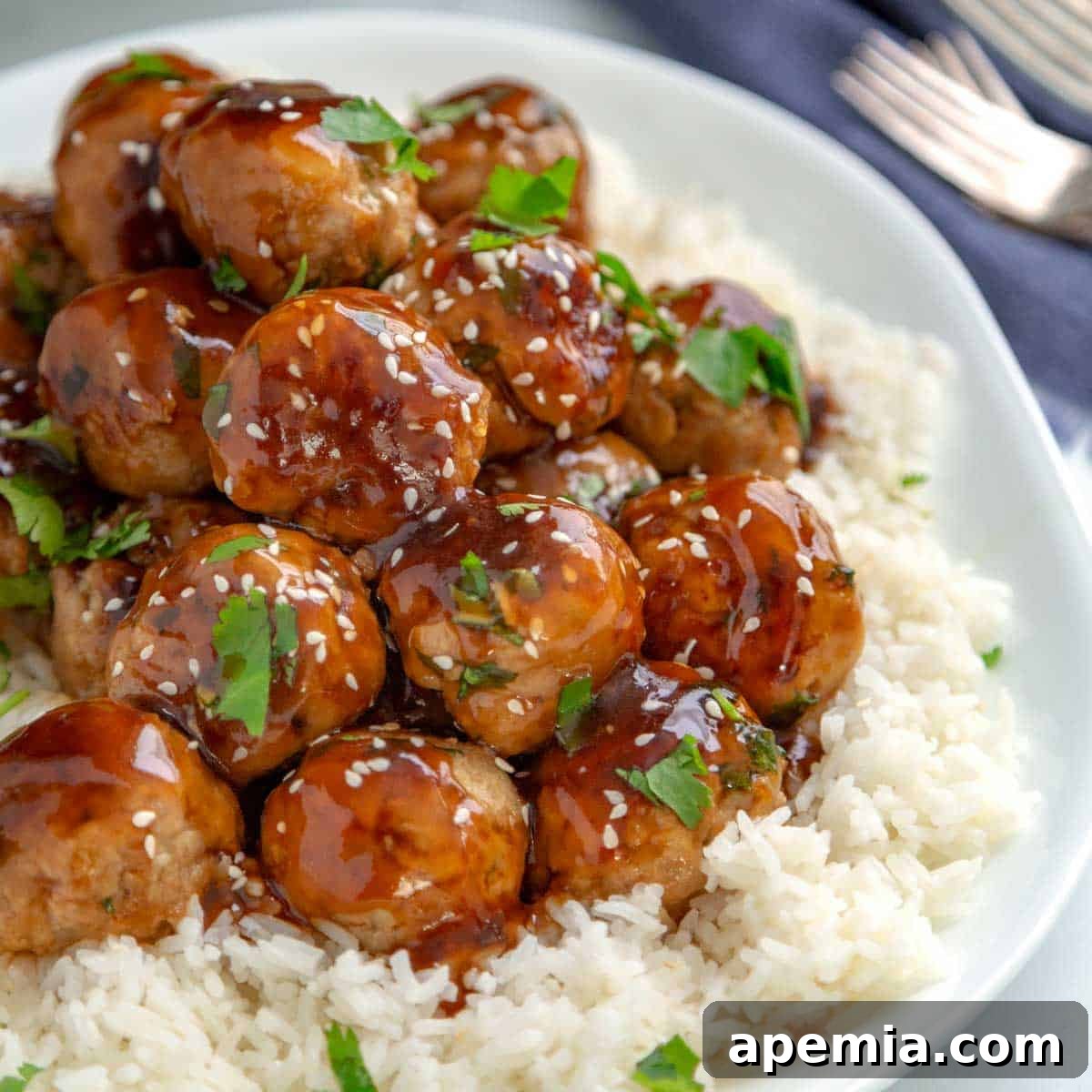 closeup: several teriyaki meatballs on top of a bed of white rice with fresh parsley on top