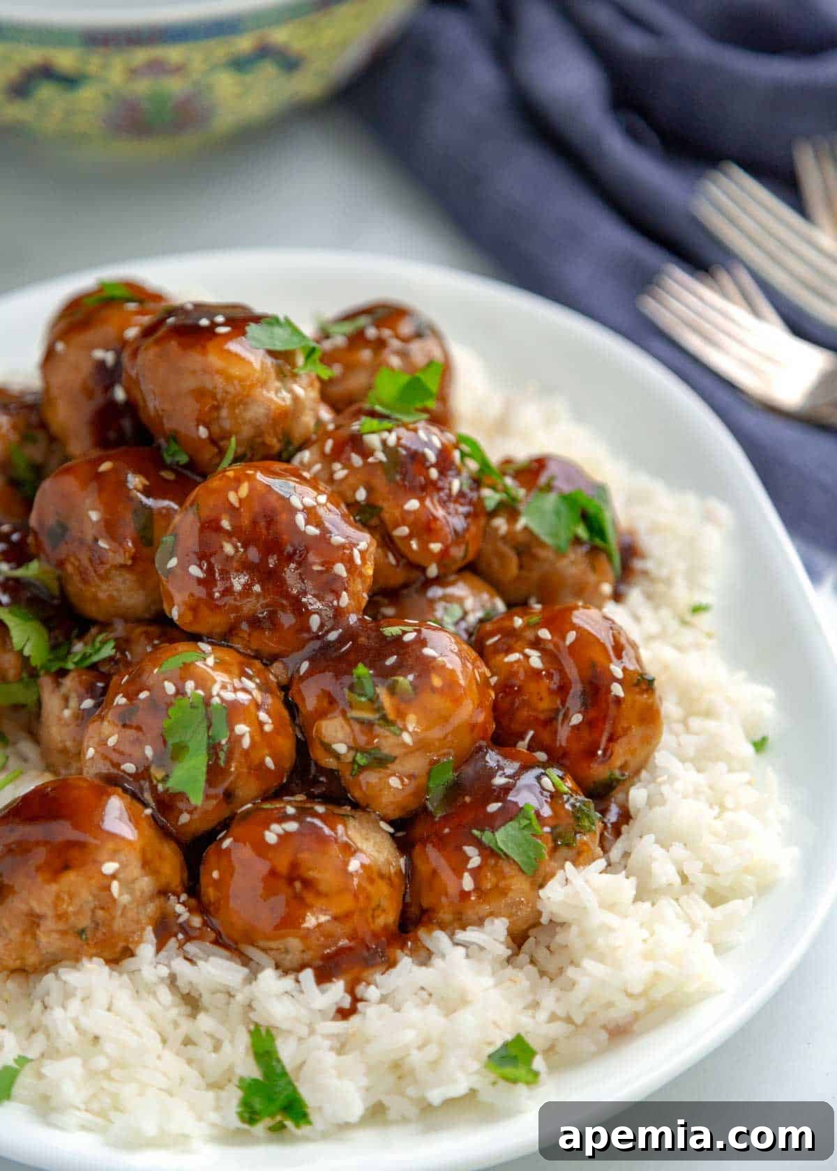 overhead closeup: a plate of teriyaki meatballs with white rice