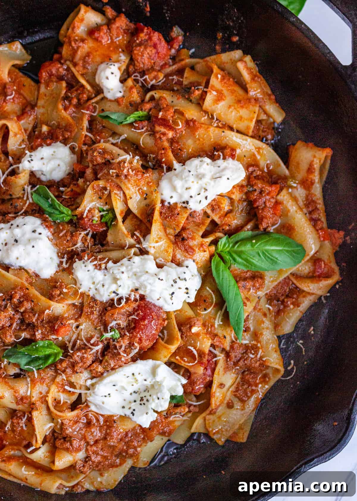 overhead: my bolognese sauce recipe with large noodles, burrata, and fresh basil on top
