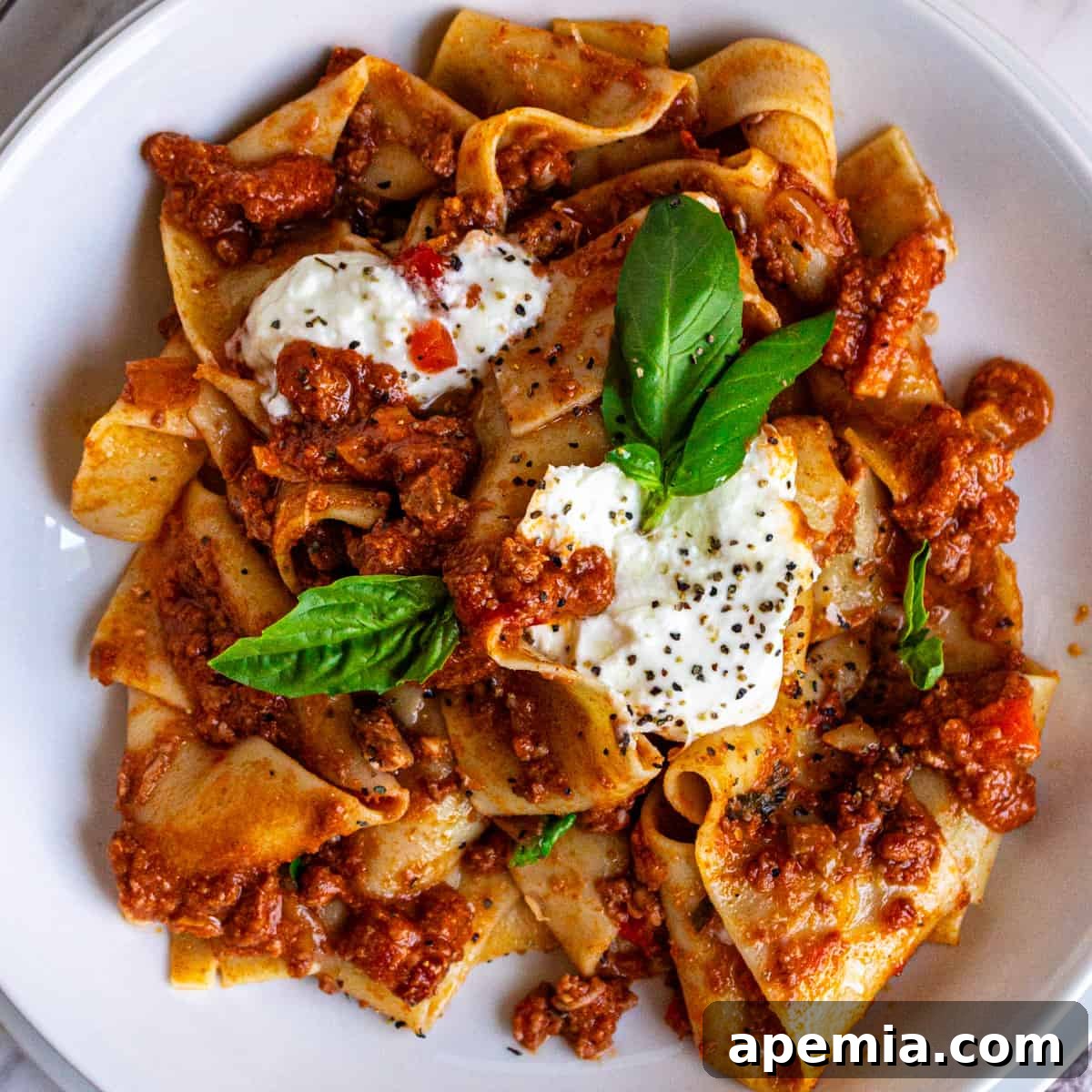 overhead: a plate of tagliatelle bolognese with burrata and fresh basil on top