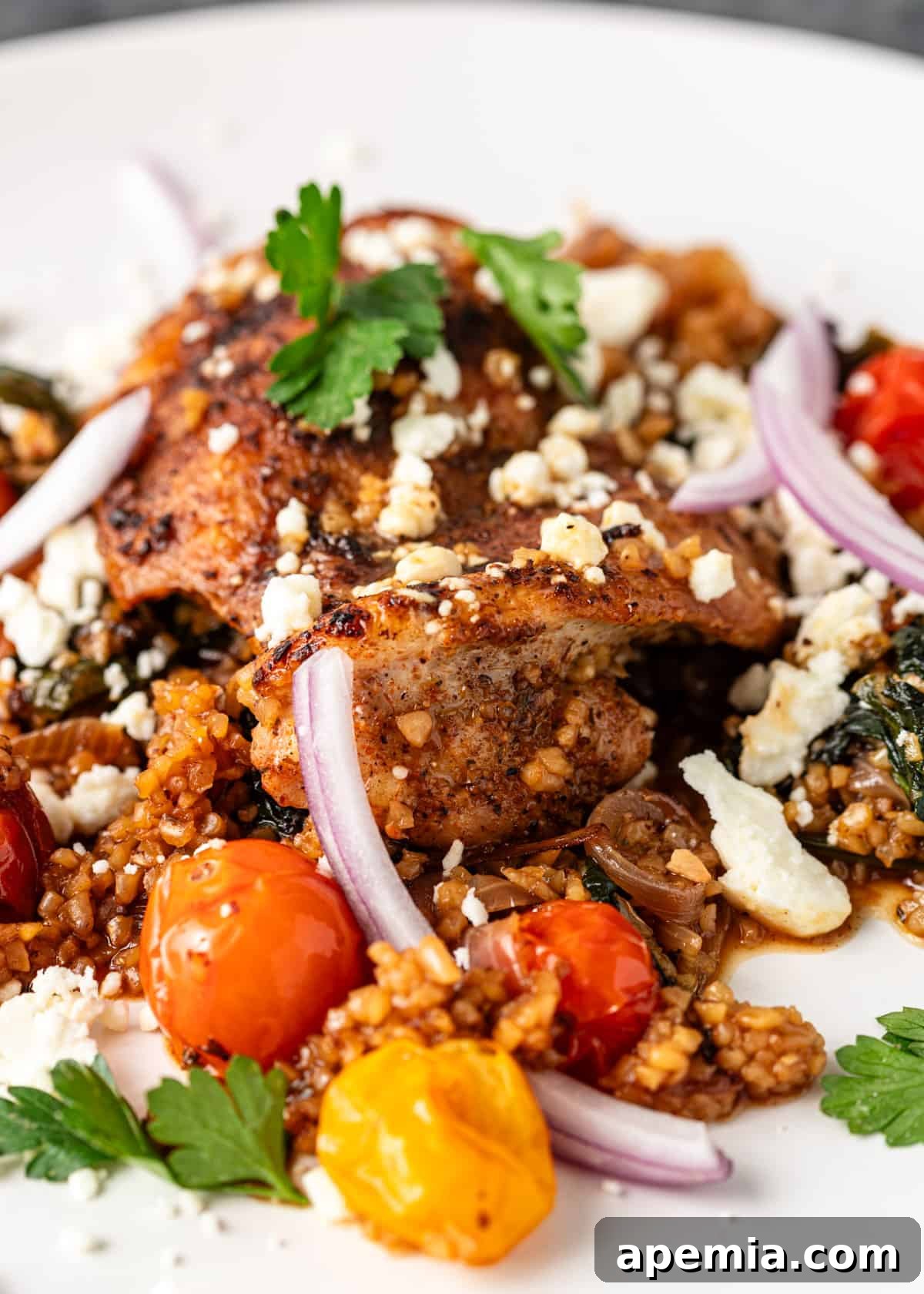 Close-up of Turkish chicken recipe with bulgur, topped with crumbled feta cheese, fresh herbs, and thinly sliced red onion for garnish.