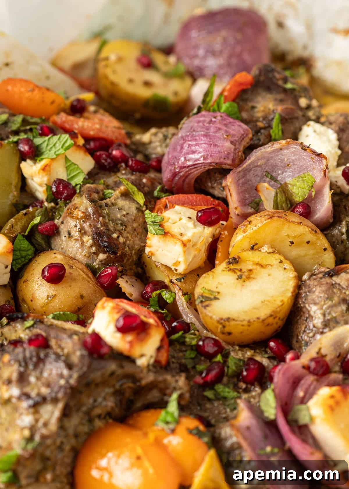 Close up view of Greek lamb roasted with vegetables and garnished with pomegranate seeds and fresh herbs