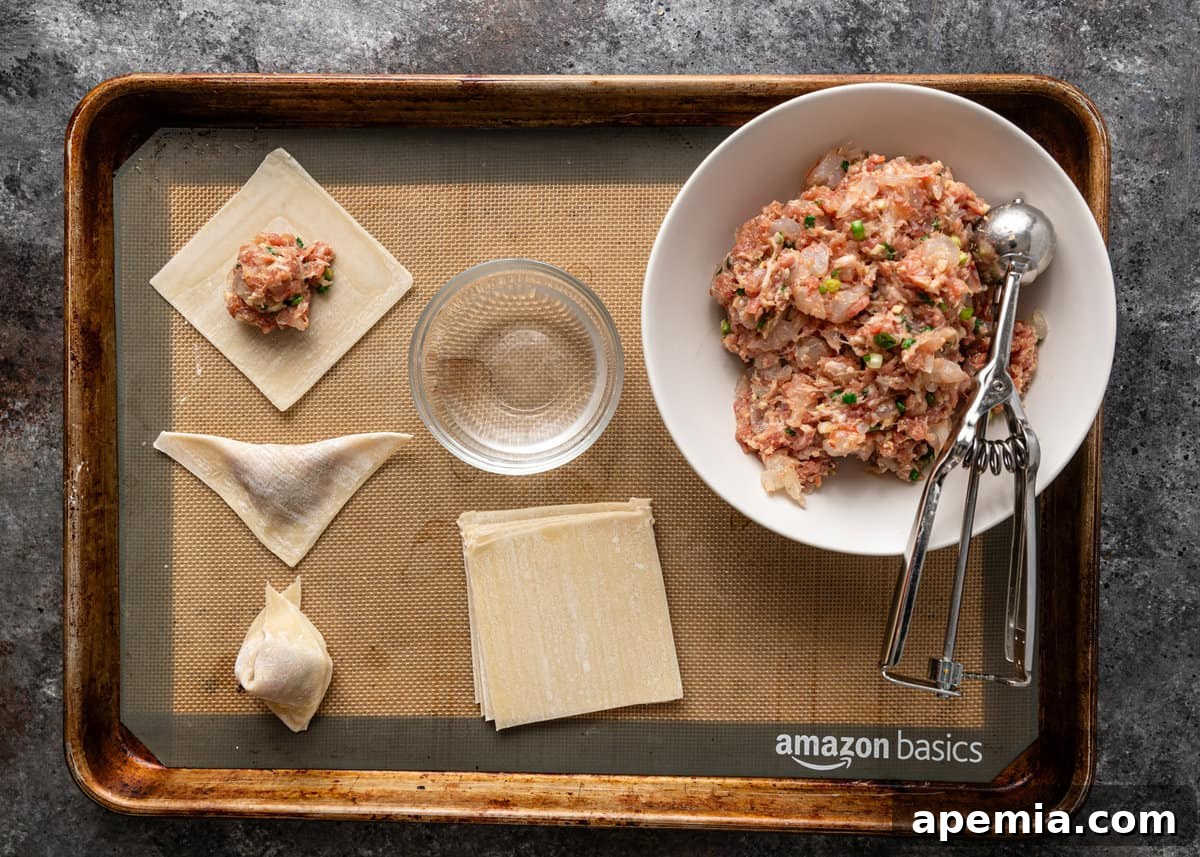 overhead process shot: creating stuffed wontons for soup