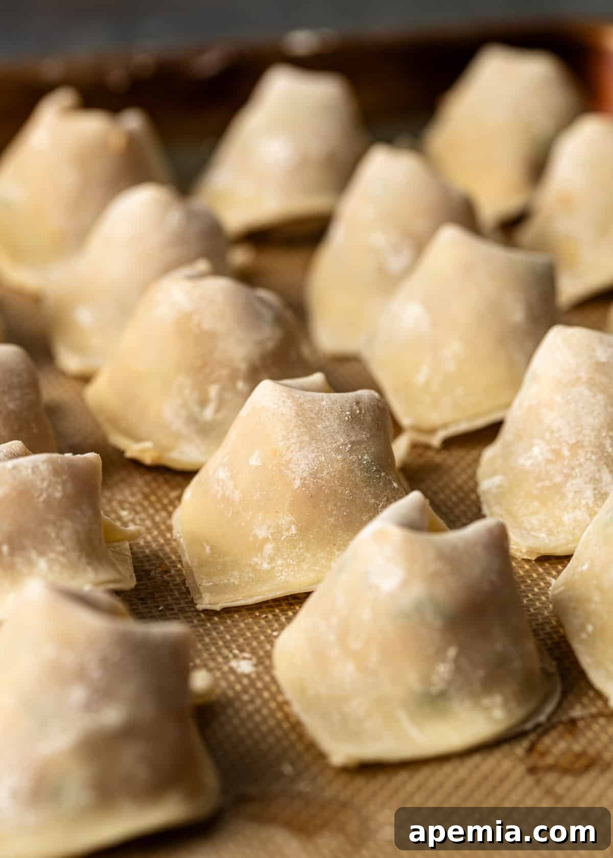 closeup: wontons ready for wonton soup