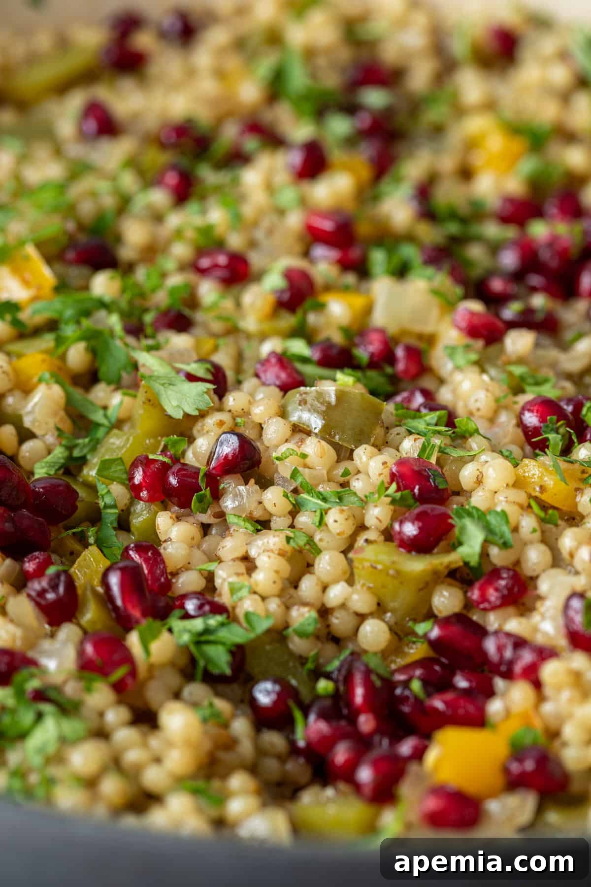 Aromatic Za'atar Couscous and Vibrant Market Vegetables 3 Extreme close-up view of the Za'atar Pearl Couscous, highlighting the individual pearls, colorful vegetables, and fresh garnish of herbs and pomegranate.