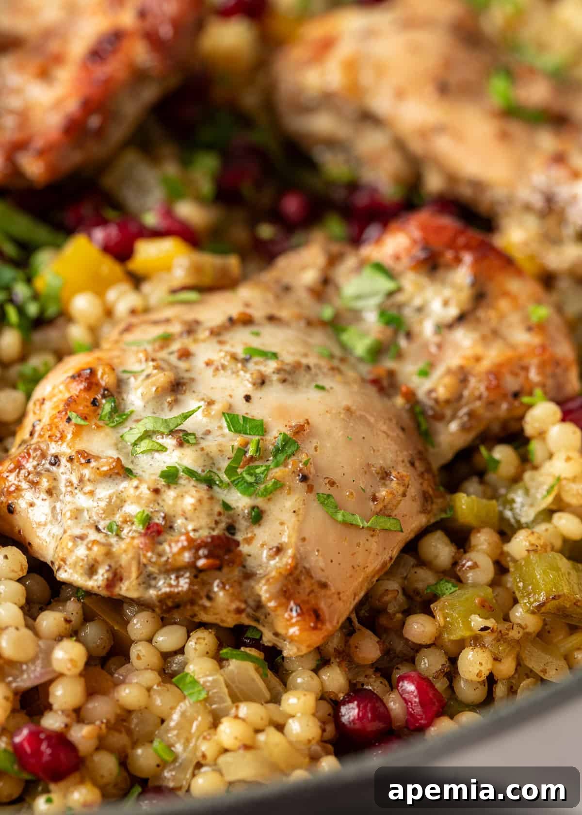 Overhead shot of freshly baked za'atar yogurt chicken served elegantly over a bed of fluffy couscous.