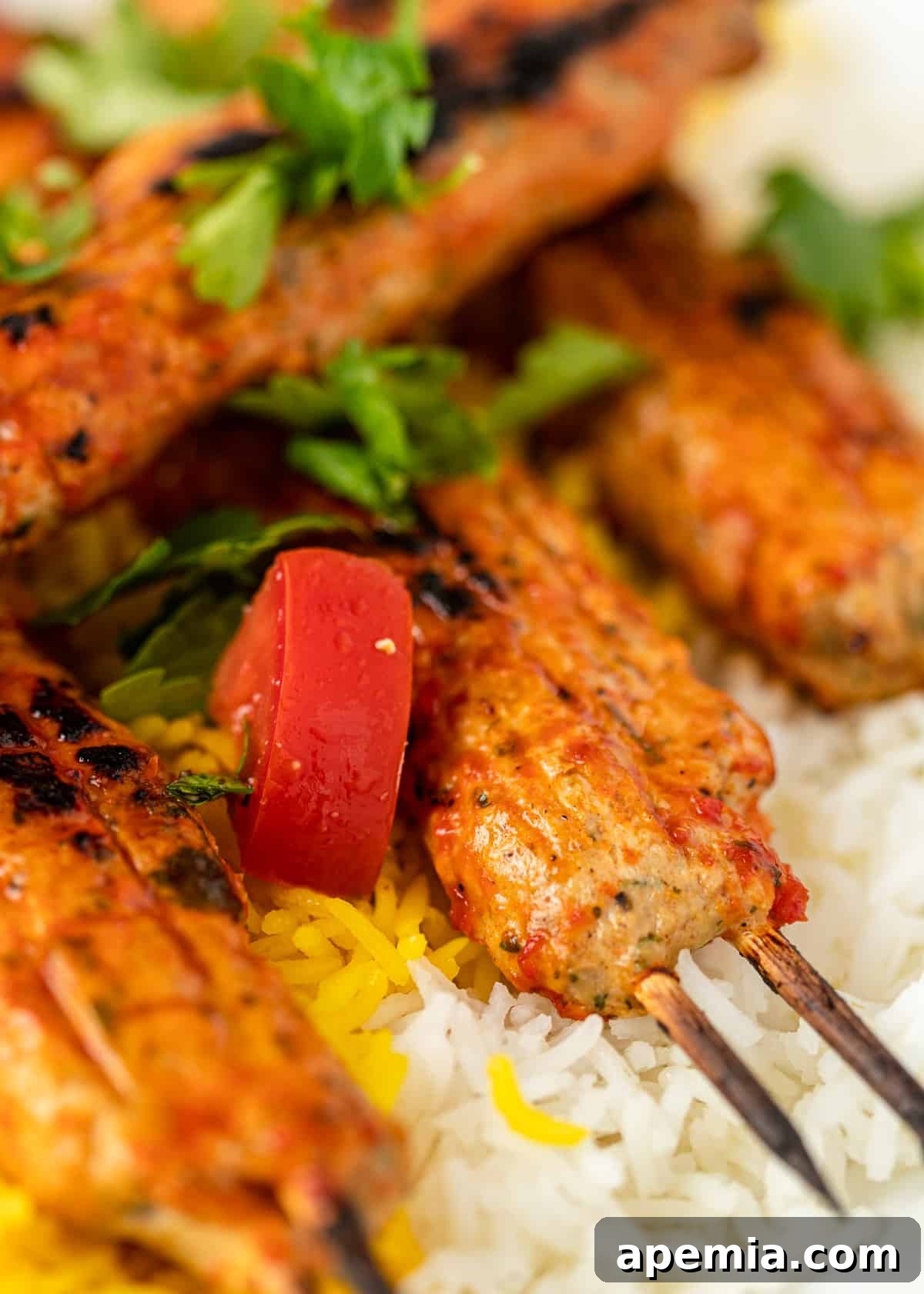 Extreme close-up: chicken Adana recipe served over fluffy white rice