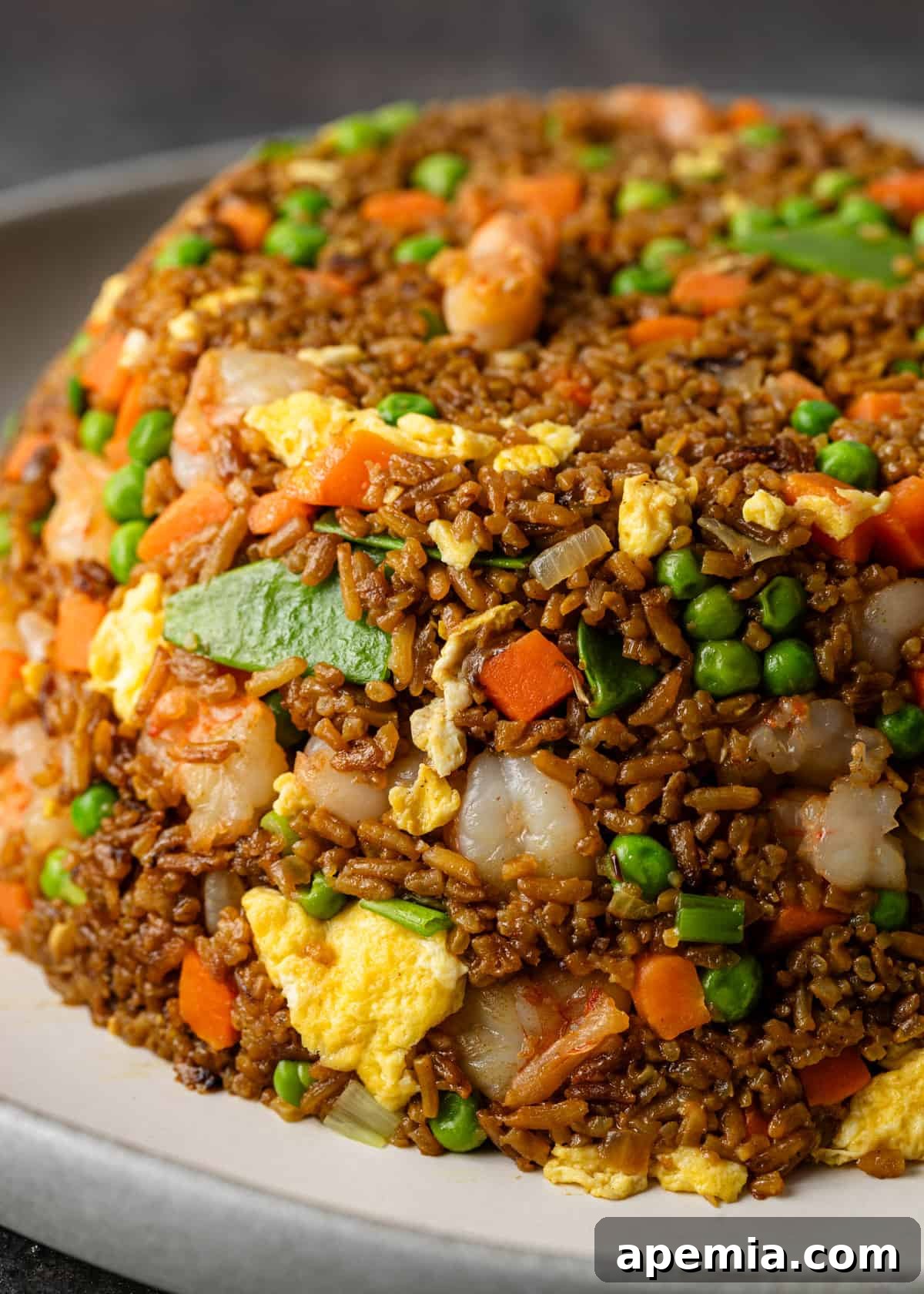 closeup: fried rice with shrimp, veggies, and egg