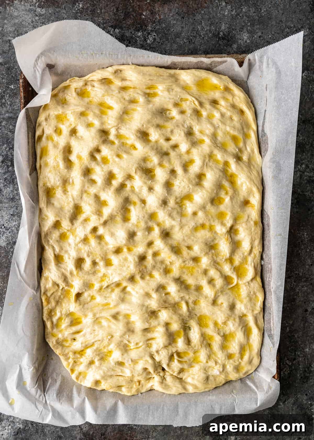 overhead process shot: focaccia bread dough dimpled with oil and salt on top