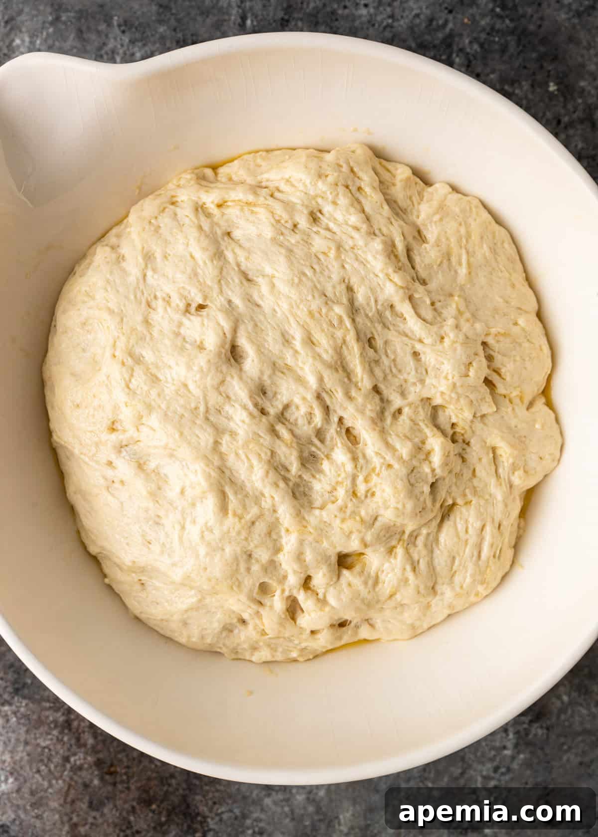 overhead process shot: dough after final 30 minute rest