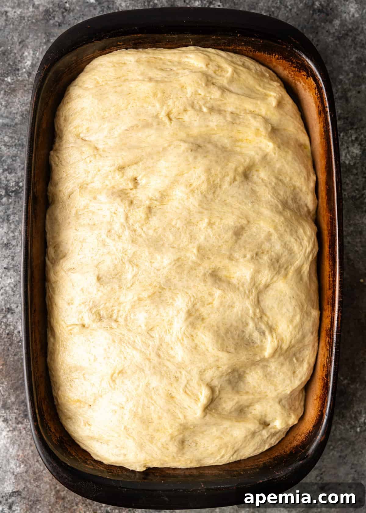 overhead process shot: dough in same pan after 1 hour rise