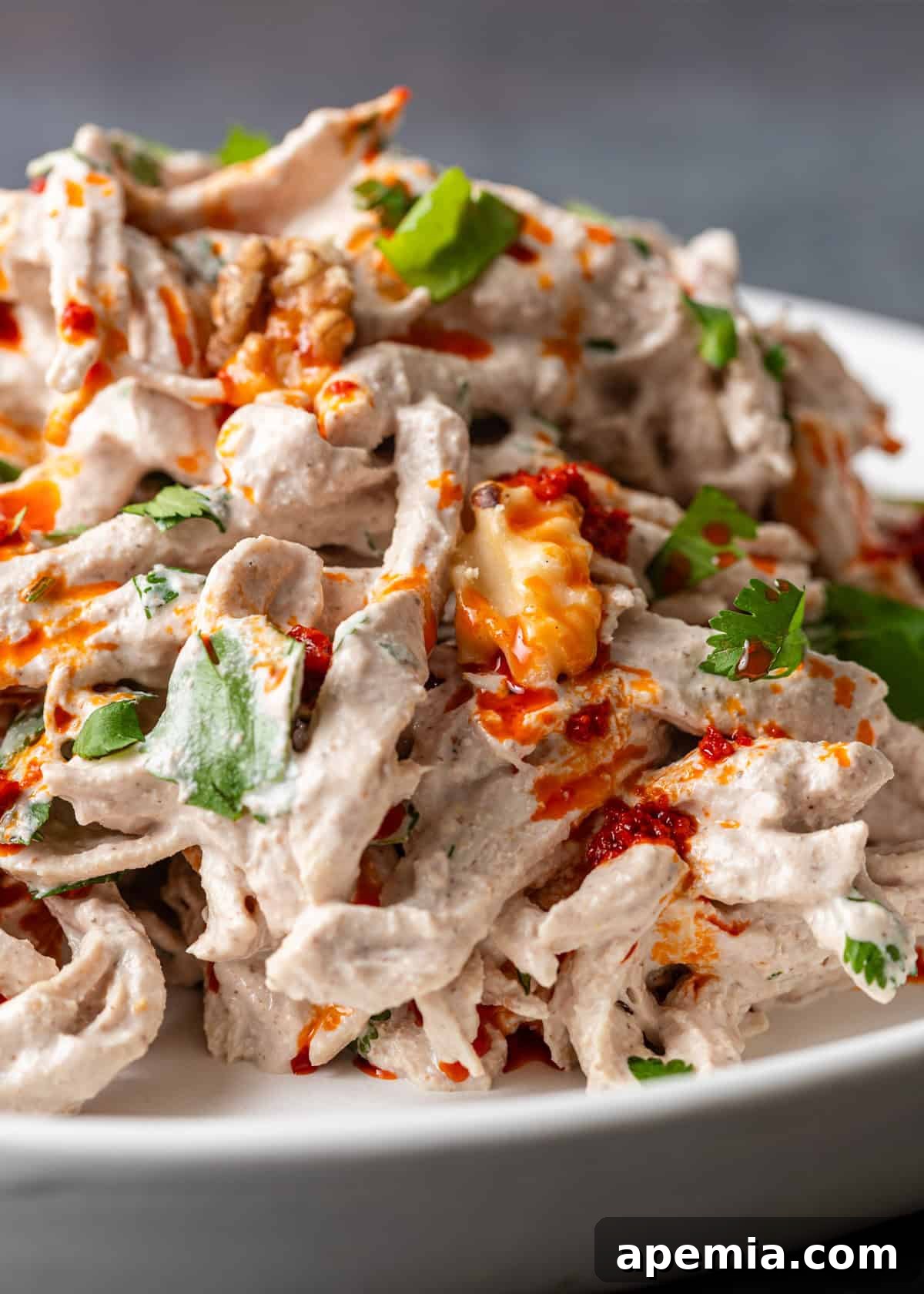 A close-up shot of my Circassian chicken recipe, highlighting the creamy walnut garlic sauce beneath a drizzle of bright red pepper paste and fresh herb garnish.