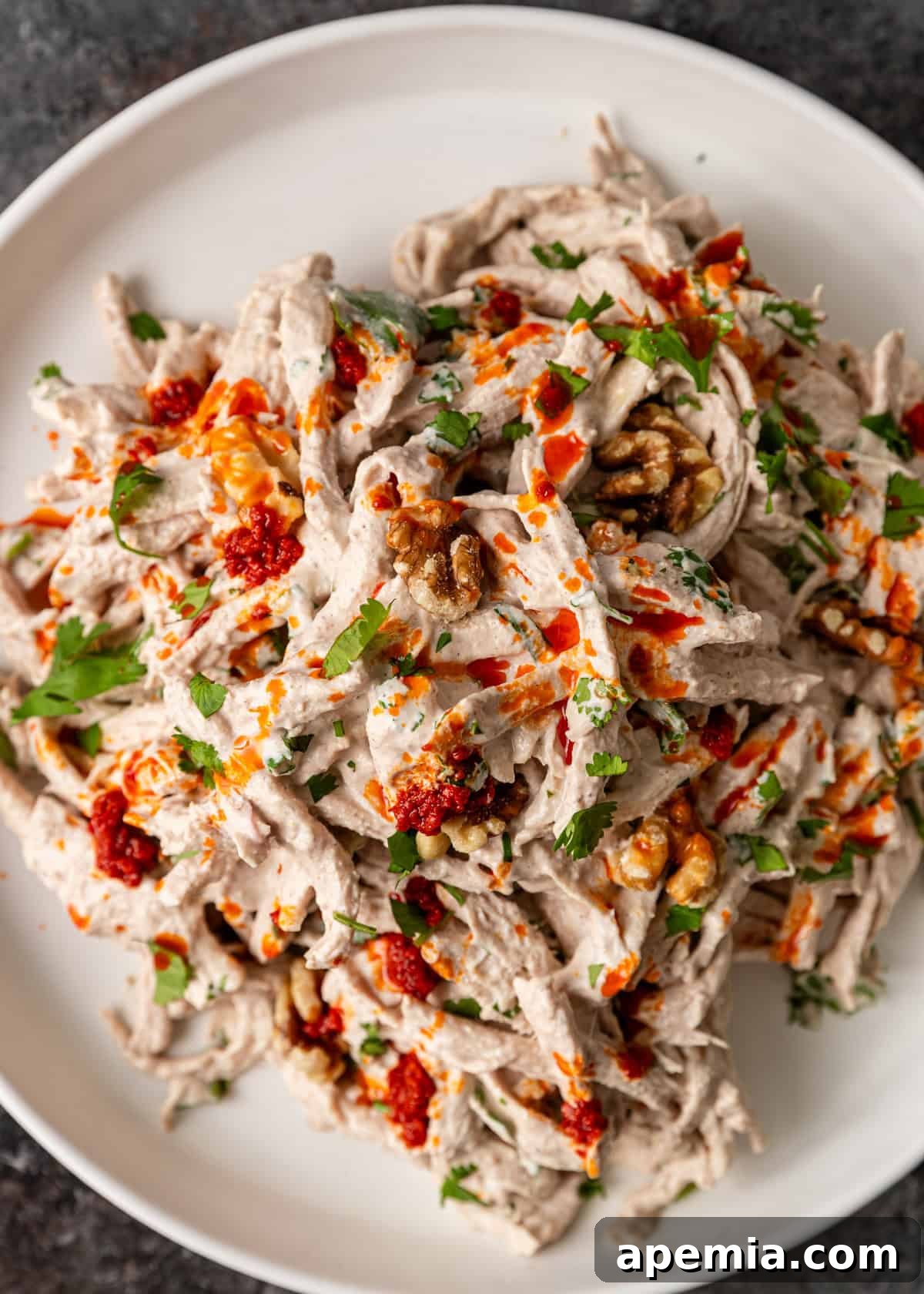 Overhead view of a beautifully plated Circassian chicken, showcasing the creamy garlic sauce beneath the shredded chicken, garnished with fresh herbs.