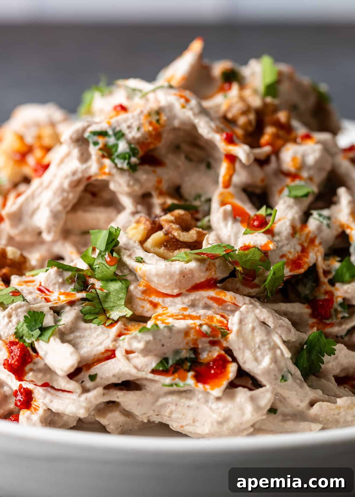 A close-up view of my Circassian chicken recipe, emphasizing the creamy walnut garlic red pepper sauce, elegantly topped with fresh herbs and chopped walnuts.