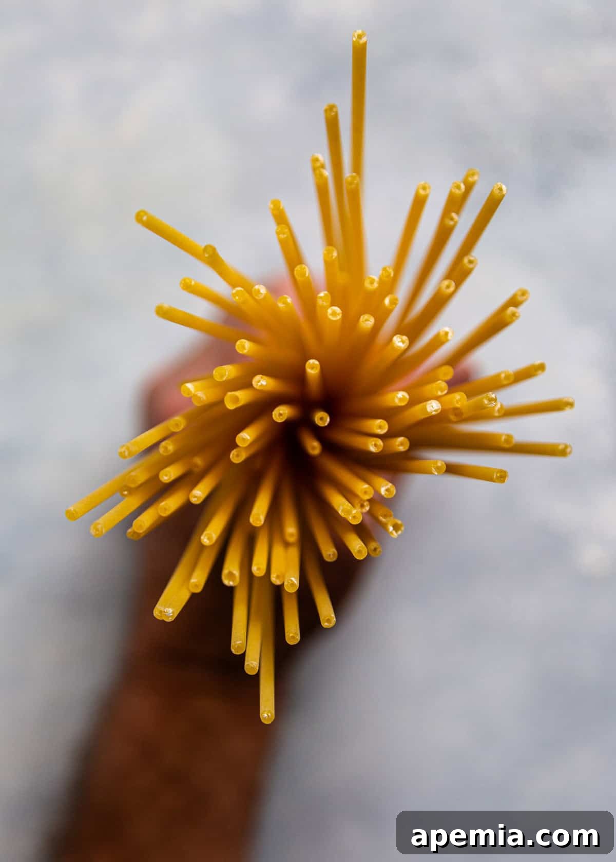 overhead closeup: uncooked bucatini pasta, showcasing its distinctive hollow center