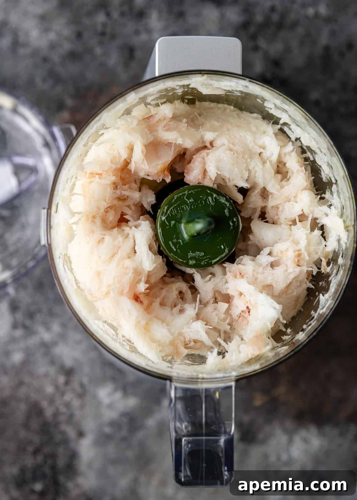 overhead process shot: fish pieces blended in a blender