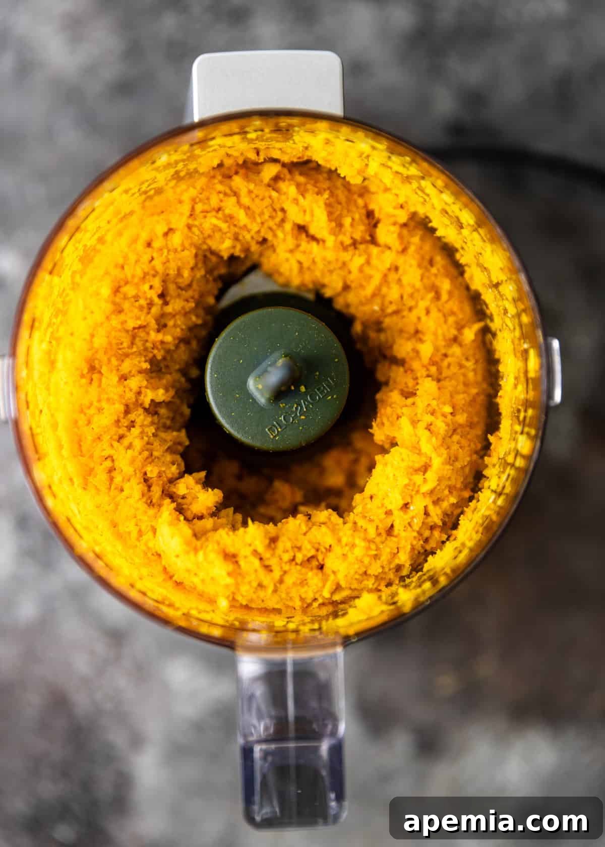 overhead process shot: making the curry paste in my blender at home