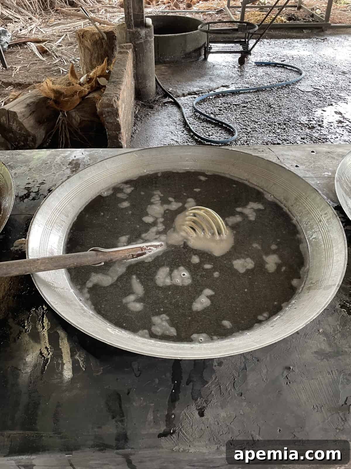 Process shot illustrating the traditional method of processing palm sugar.