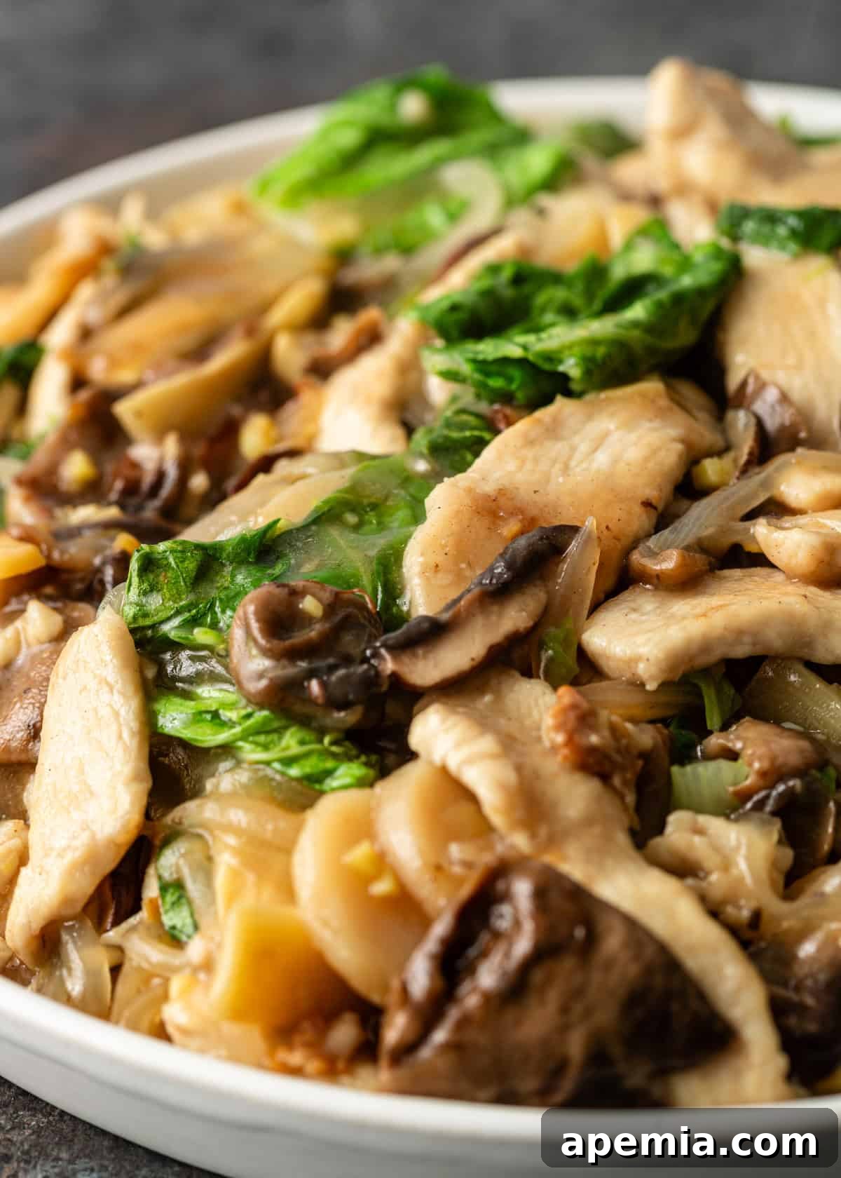 Extreme close-up view of Moo Goo Gai Pan showcasing the textures of fresh bok choy, various mushrooms, and tender chicken coated in a glossy, aromatic stir-fry sauce.