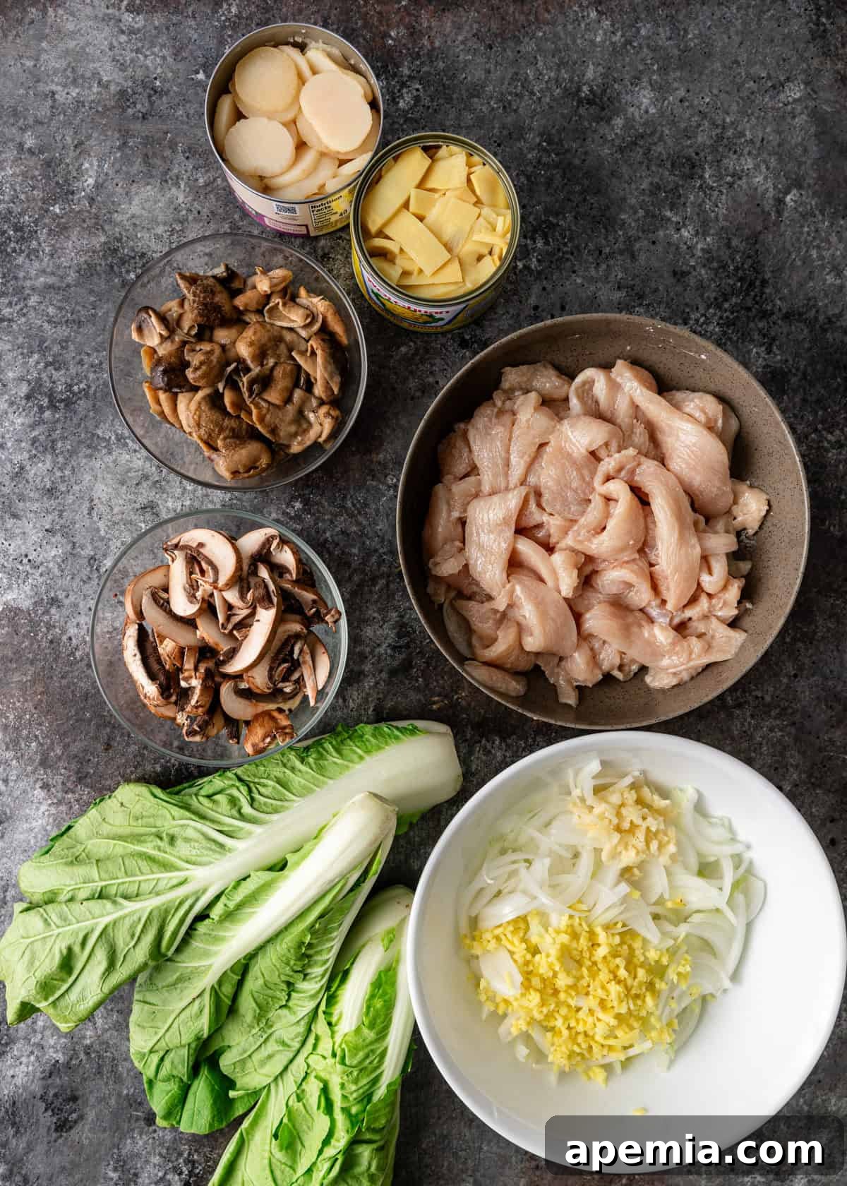 Overhead shot showcasing all the fresh and canned ingredients meticulously laid out for preparing Moo Goo Gai Pan, including chicken, various vegetables, and sauce components.