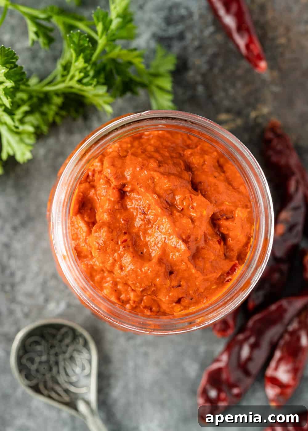 Dried chillies and fresh cilantro elegantly surround a jar of smooth, red harissa paste.