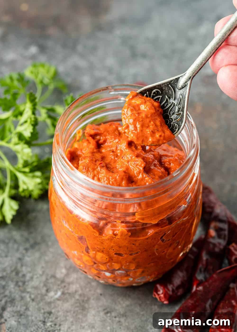 A spoonful of rich, red harissa paste held over a glass jar, showcasing its vibrant texture.
