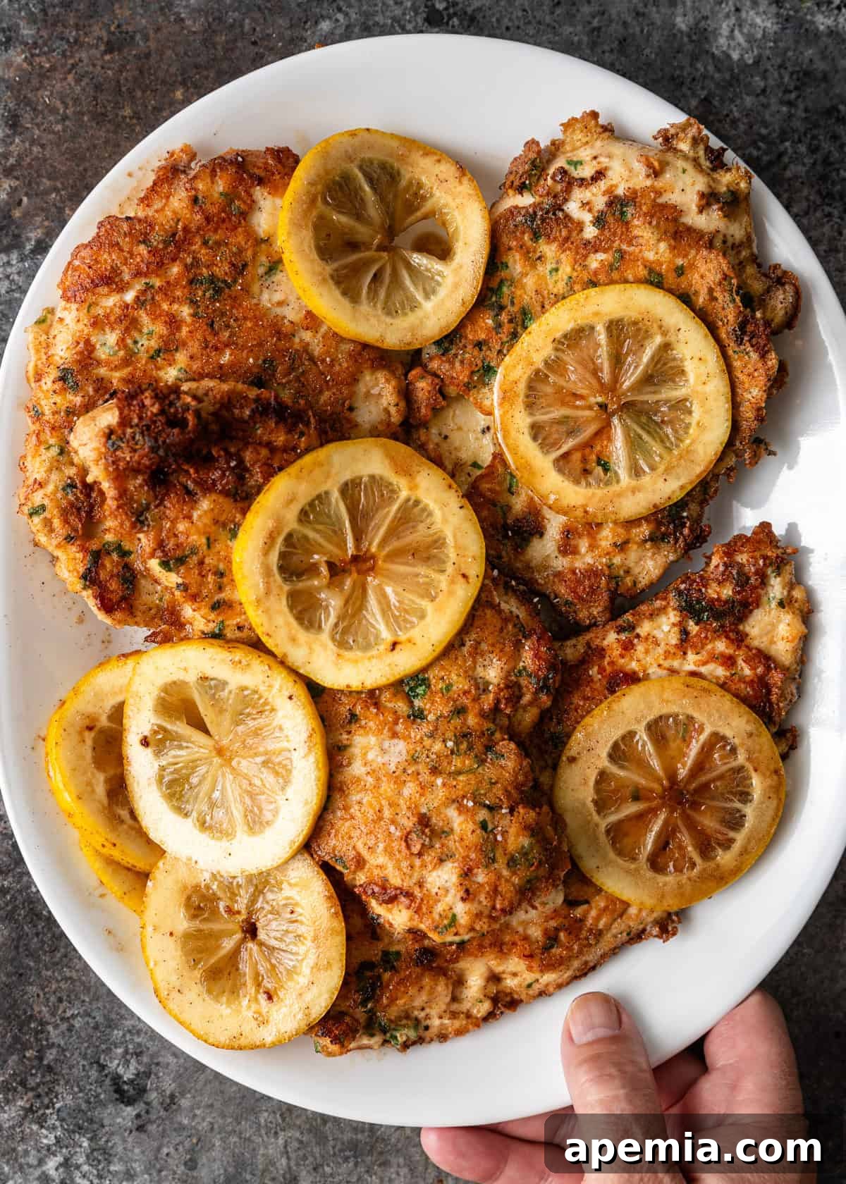 overhead: a plate full of chicken francaise with cooked lemon slices on top