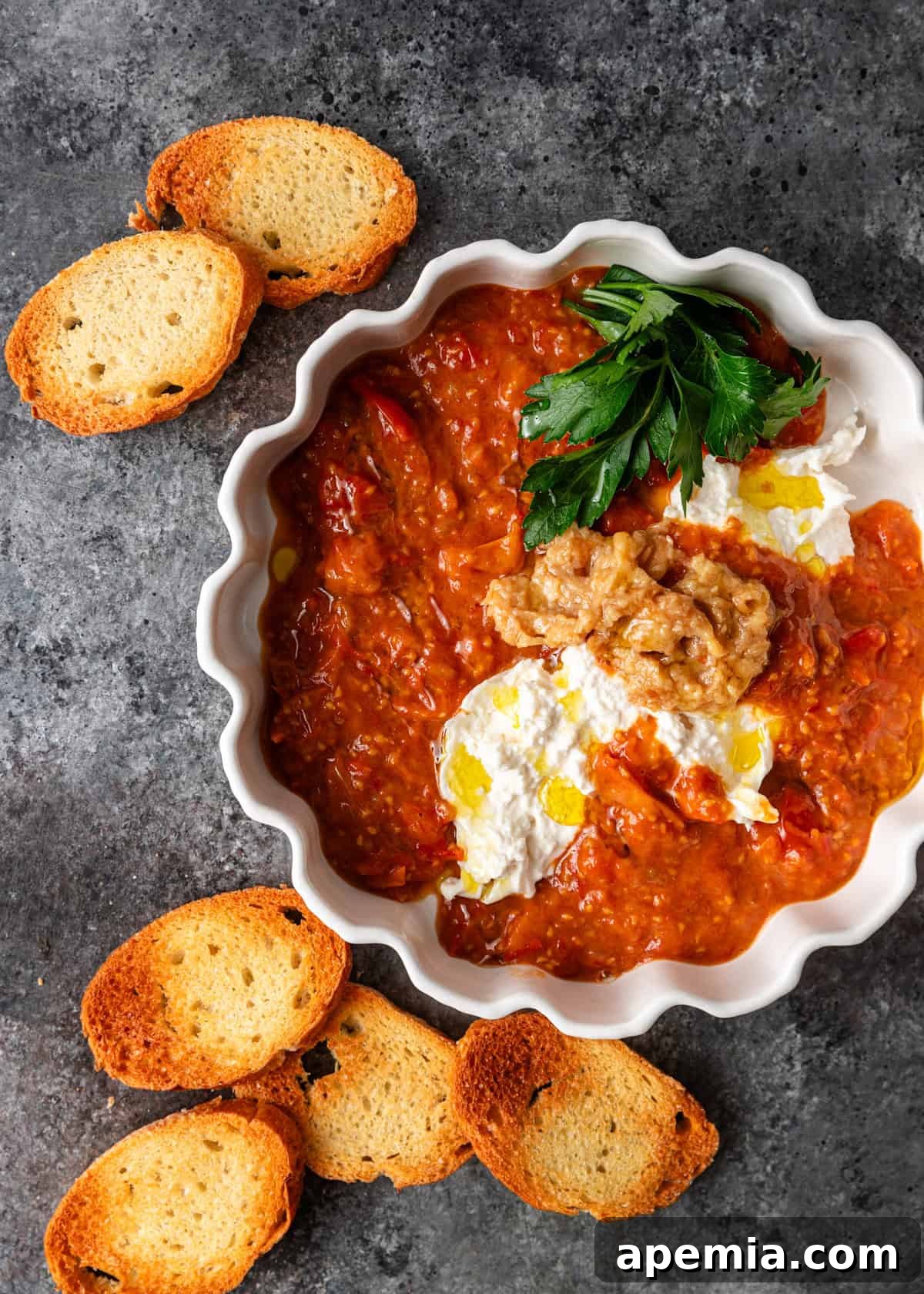 Overhead shot: a dip made with tomato confit and creamy ricotta cheese, served with toasted bread slices on the side.