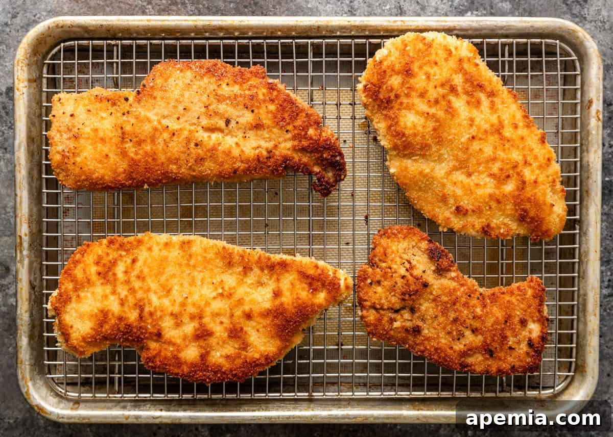 Freshly breaded and pan-fried chicken Milanese cutlets cooling on a wire rack, allowing excess oil to drain and maintaining their crispness.