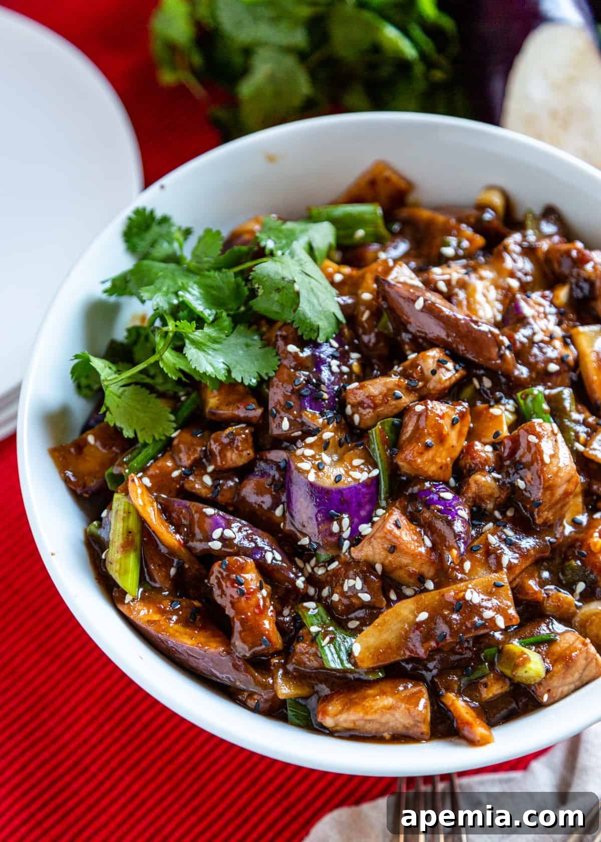 Close-up overhead view of a ready-to-eat Szechuan Pork and Eggplant Stir Fry in a white bowl, garnished with a sprig of cilantro.