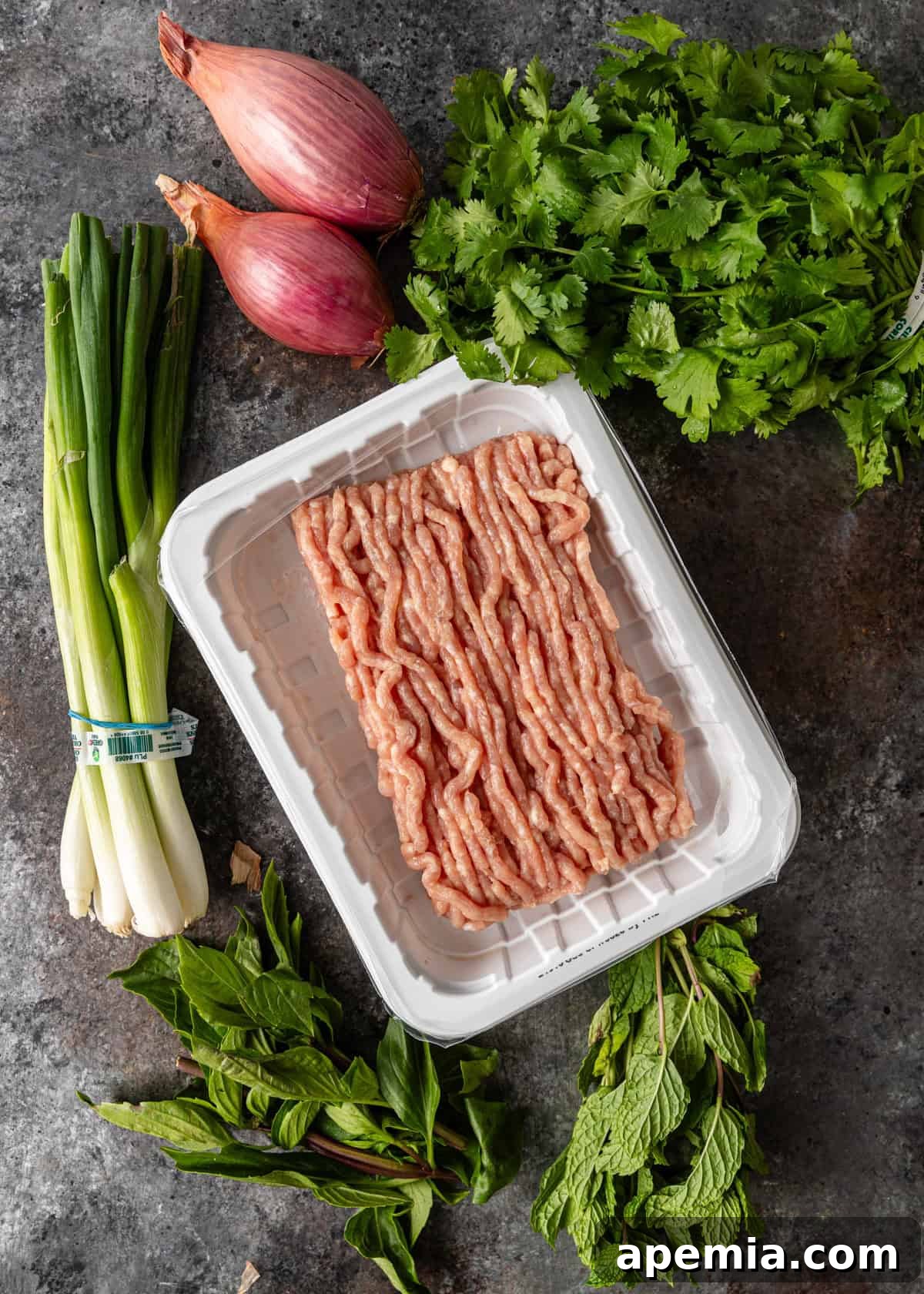 Zesty Thai Larb Gai Chicken Lettuce Wraps 4 overhead: ingredients needed for my larb gai recipe