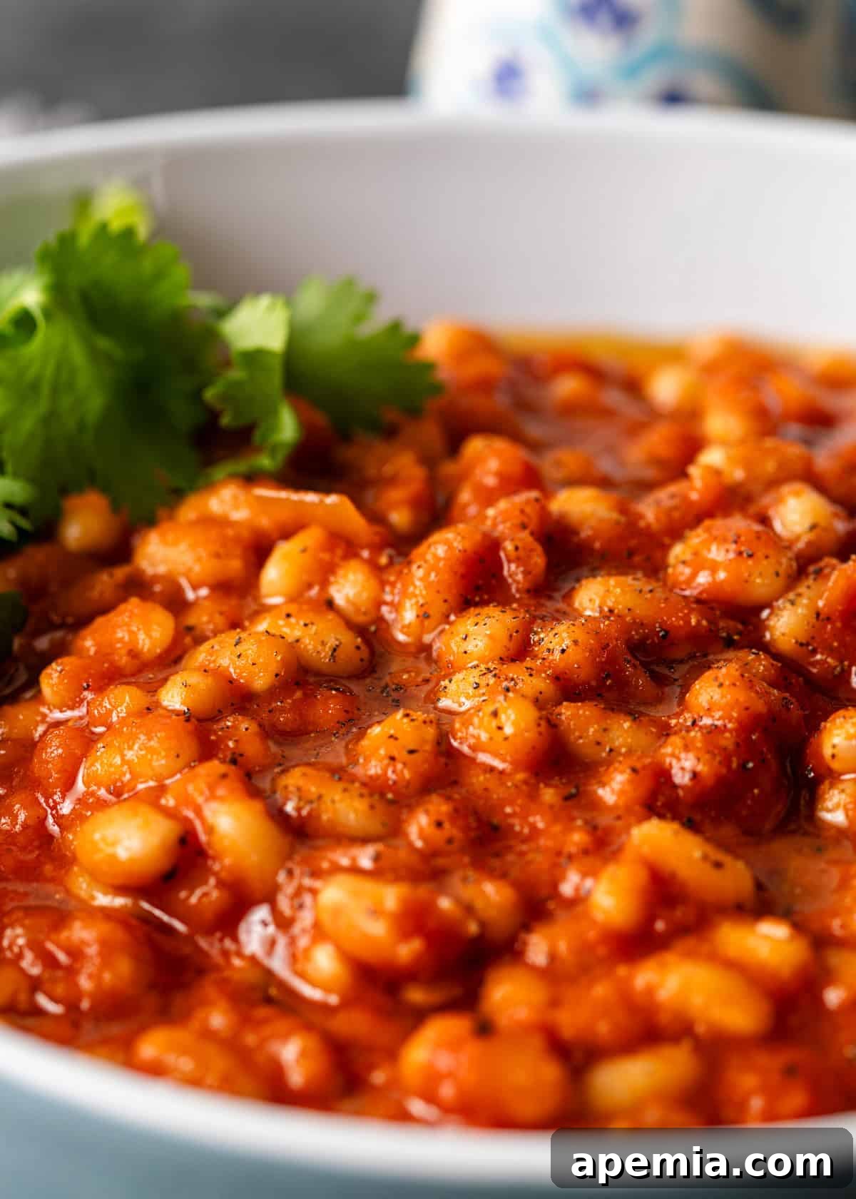Extreme closeup of a serving of white bean stew, garnished with spices and a drizzle of oil.