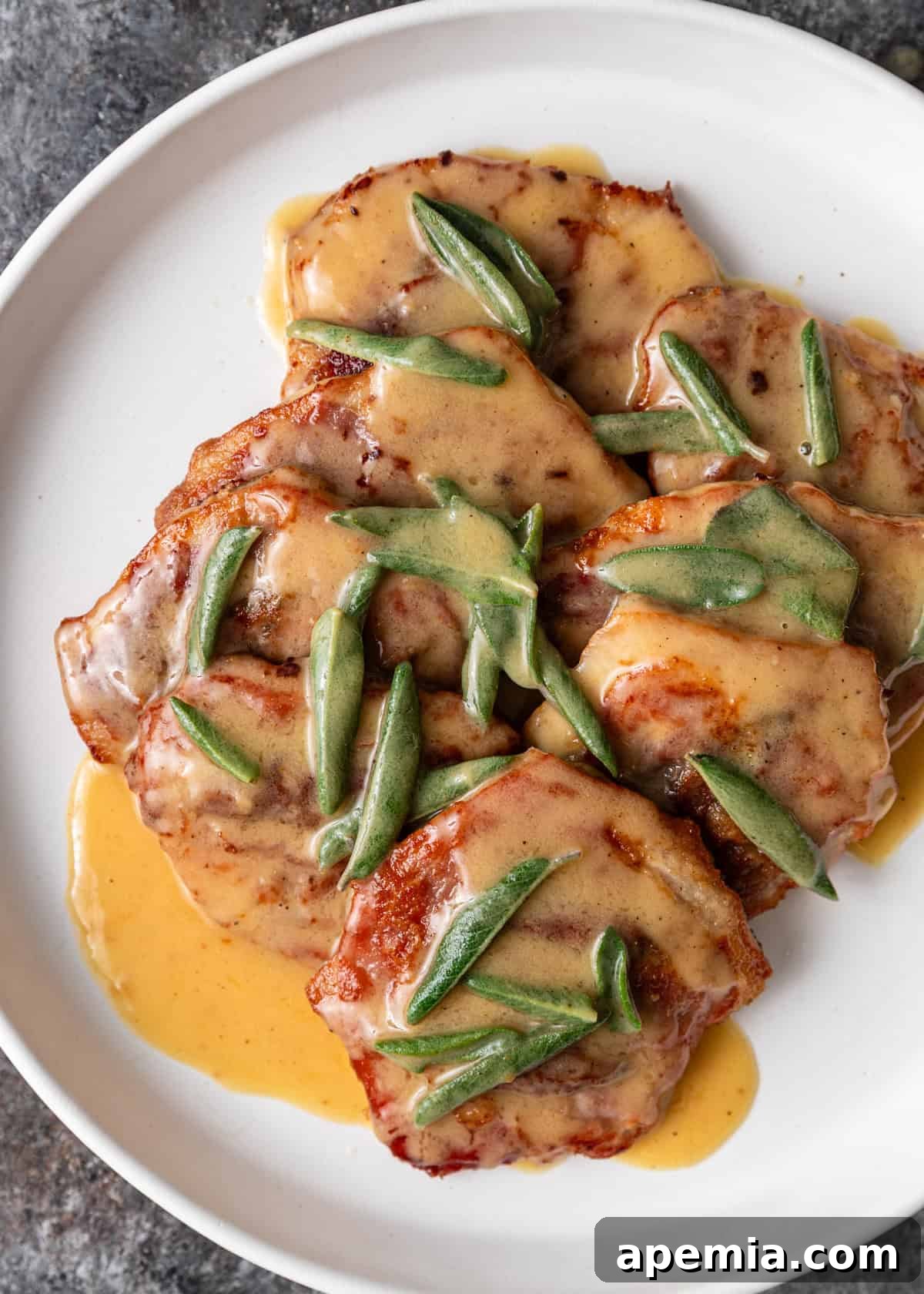 Overhead view of a beautifully plated Saltimbocca alla Romana dish, featuring perfectly cooked cutlets with sage and prosciutto, served on a white plate with sauce.
