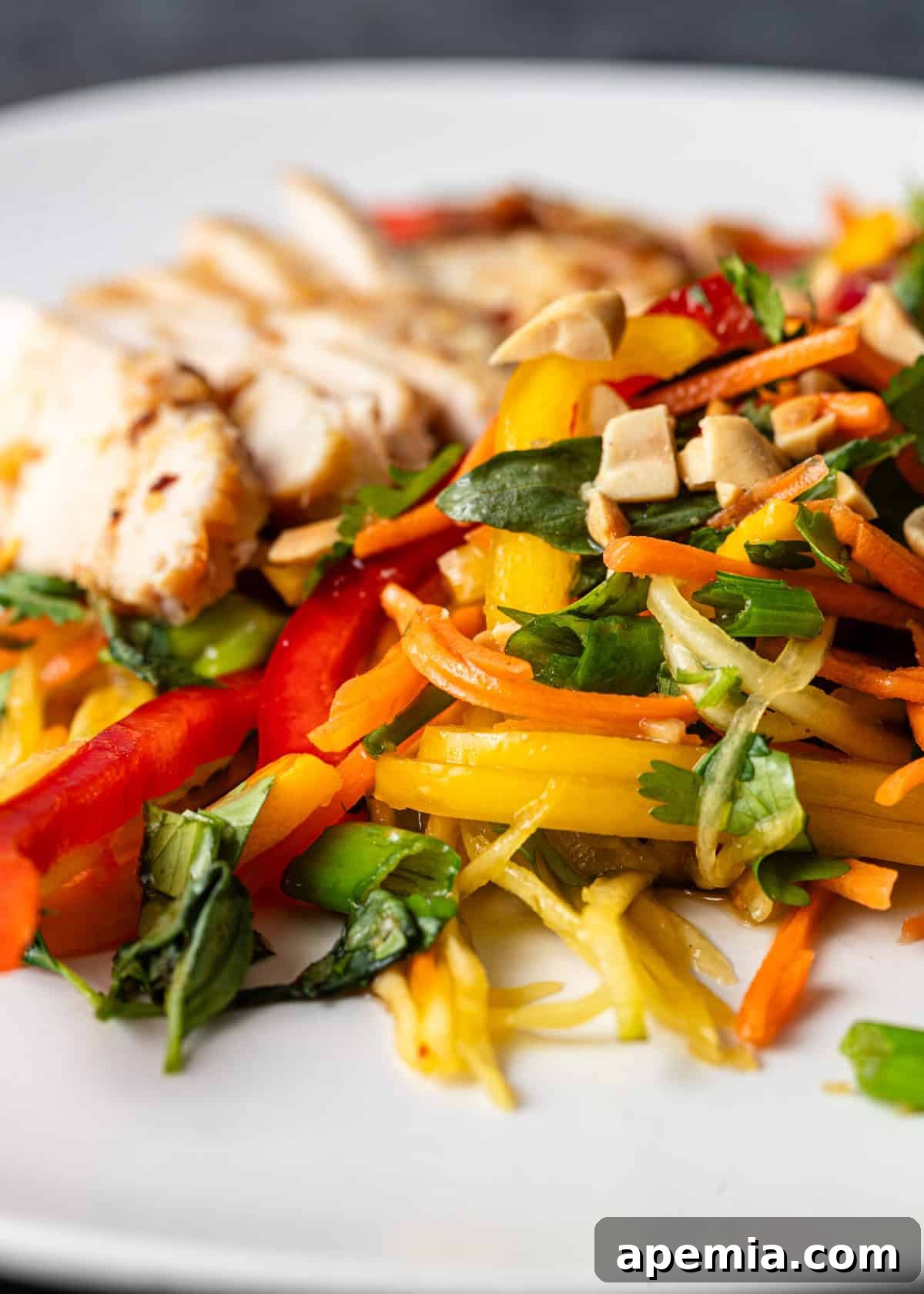 Closeup of chicken mango salad with vibrant fresh vegetables and finely chopped herbs